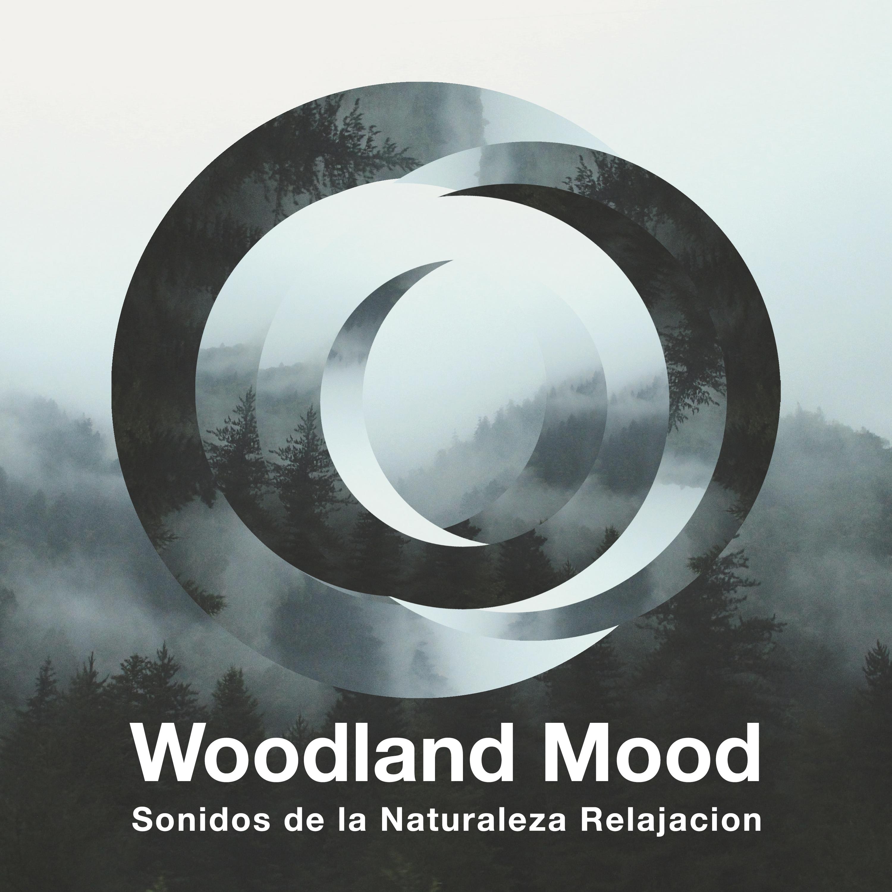 Woodland Mood