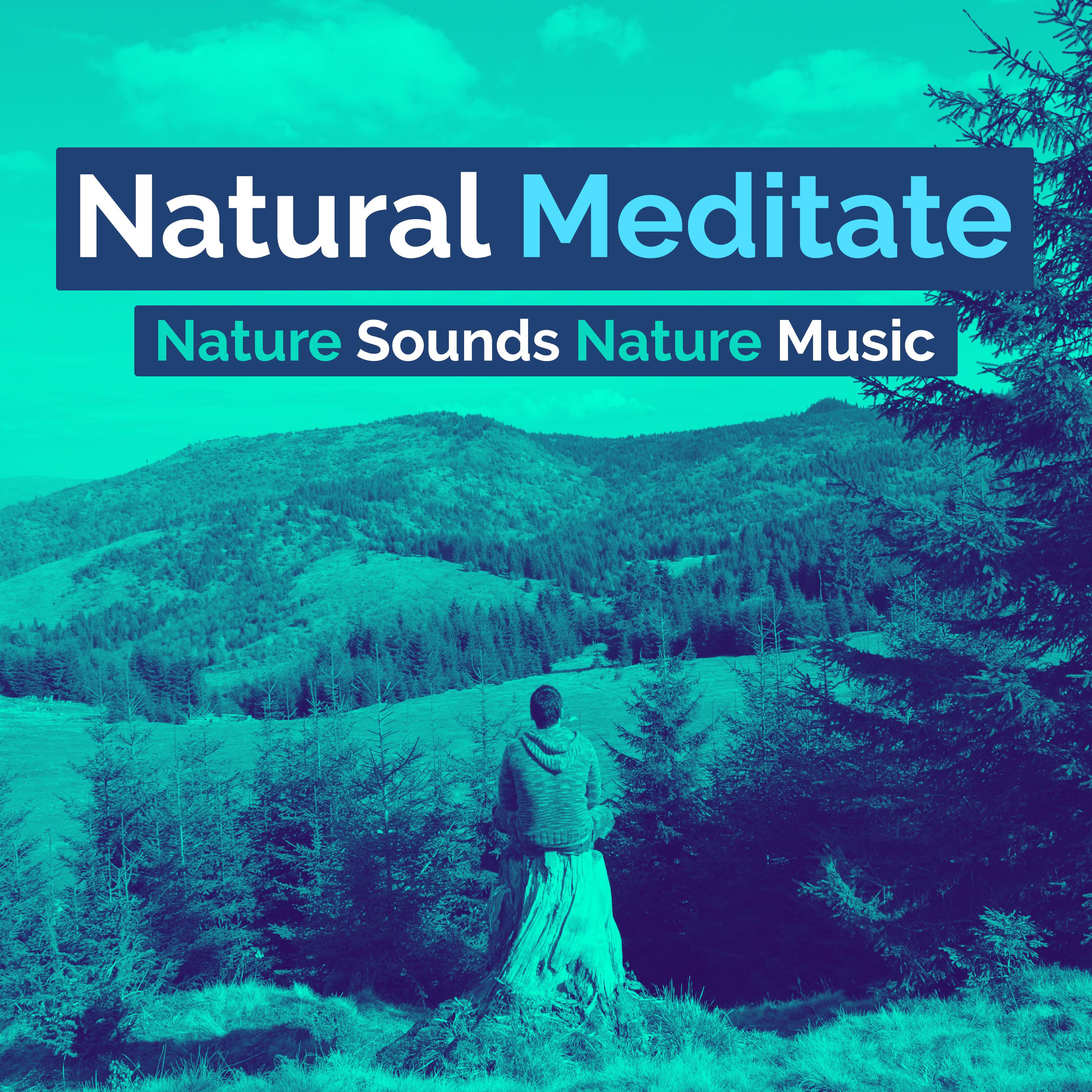 Natural Meditate