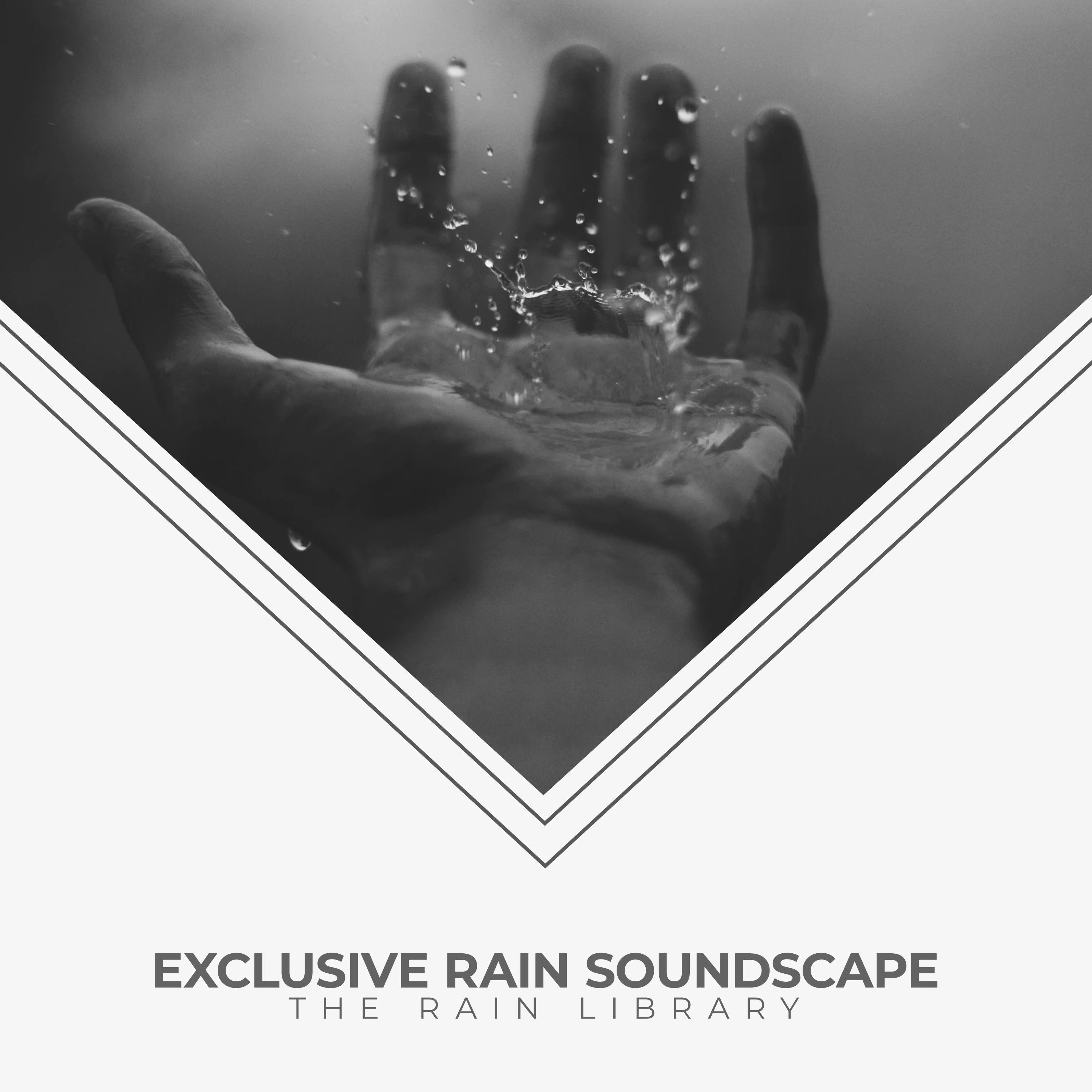 Exclusive Rain Soundscape