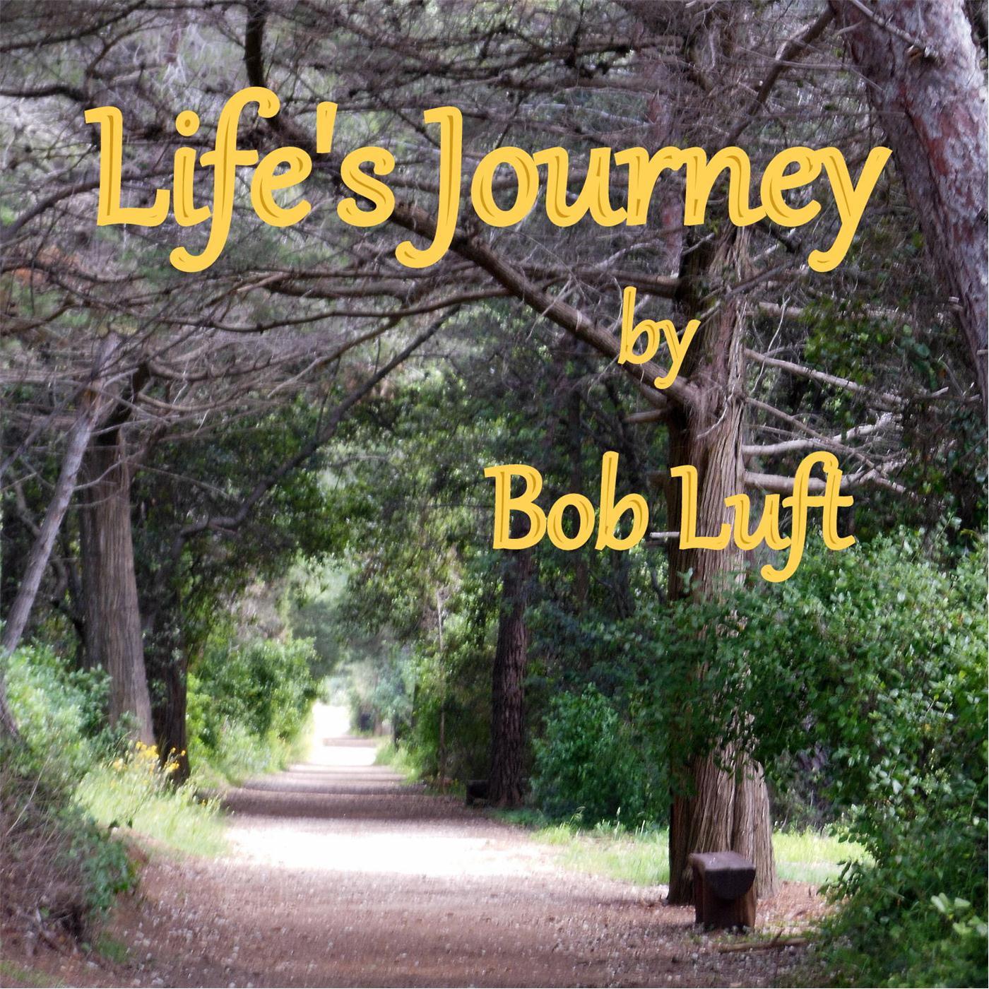 Life's Journey