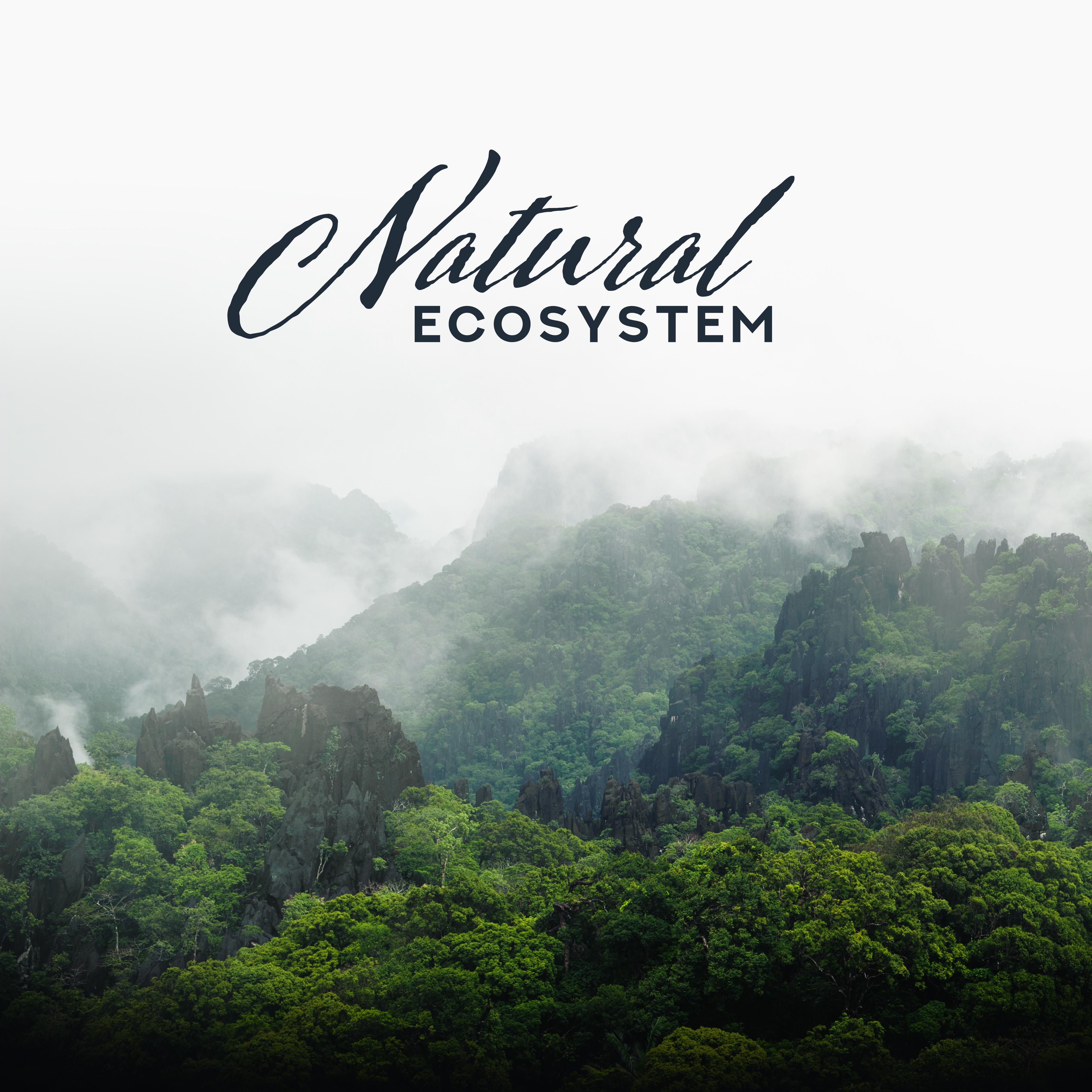 Natural Ecosystem (Music with Sounds of Nature 2019)