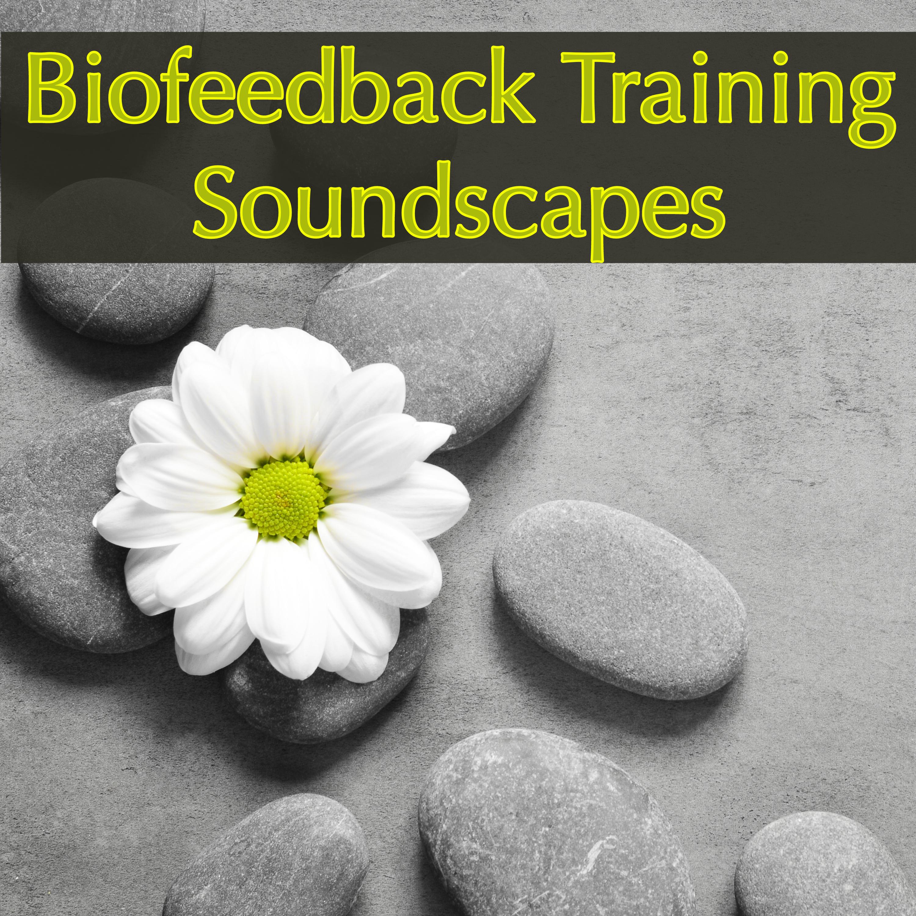 Biofeedback Training Soundscapes – Ambient Music for Biofeedback, to Improve Health & Performance and Exercise Your Brain