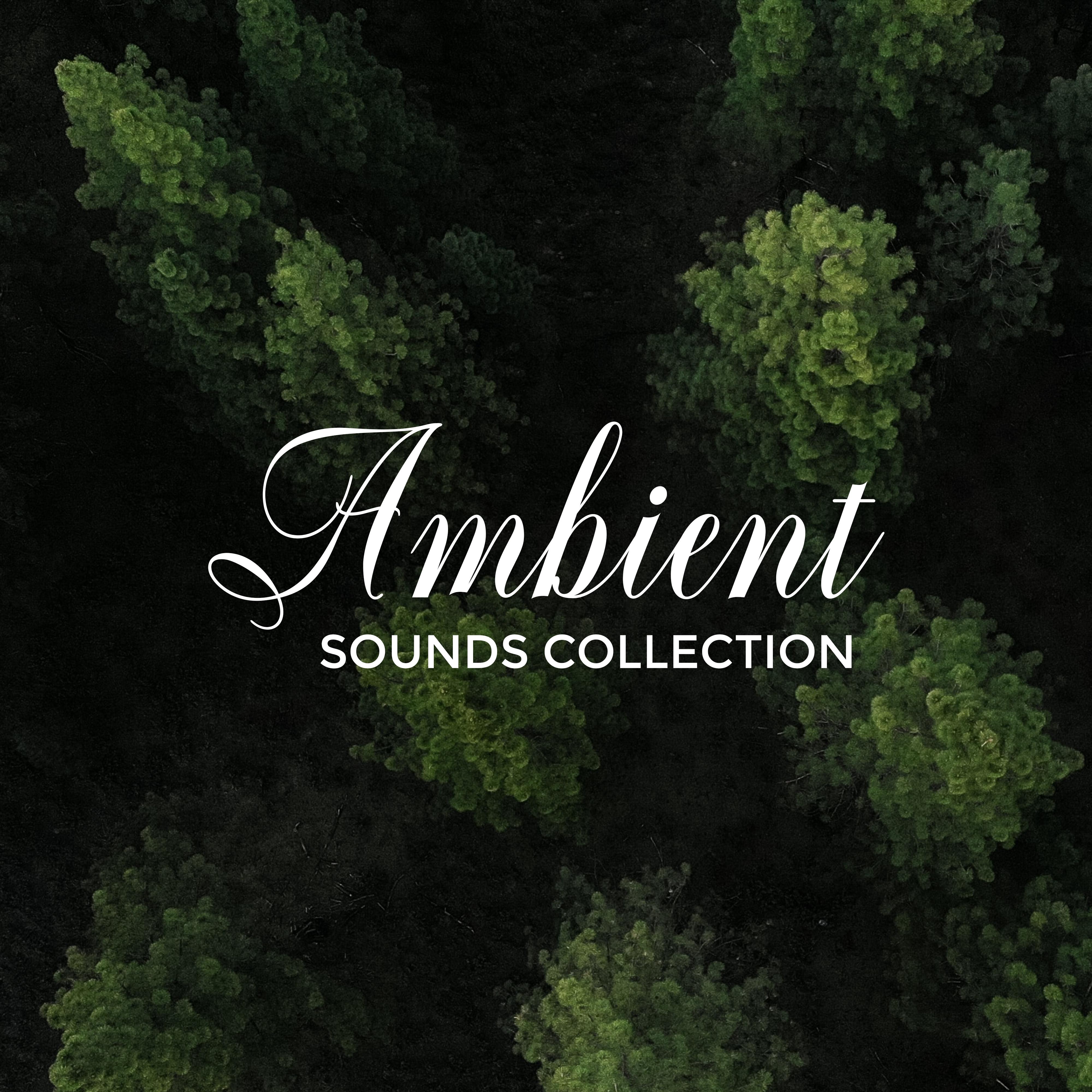 Ambient Sounds Collection: 15 Relaxing Tunes of Ambient Music