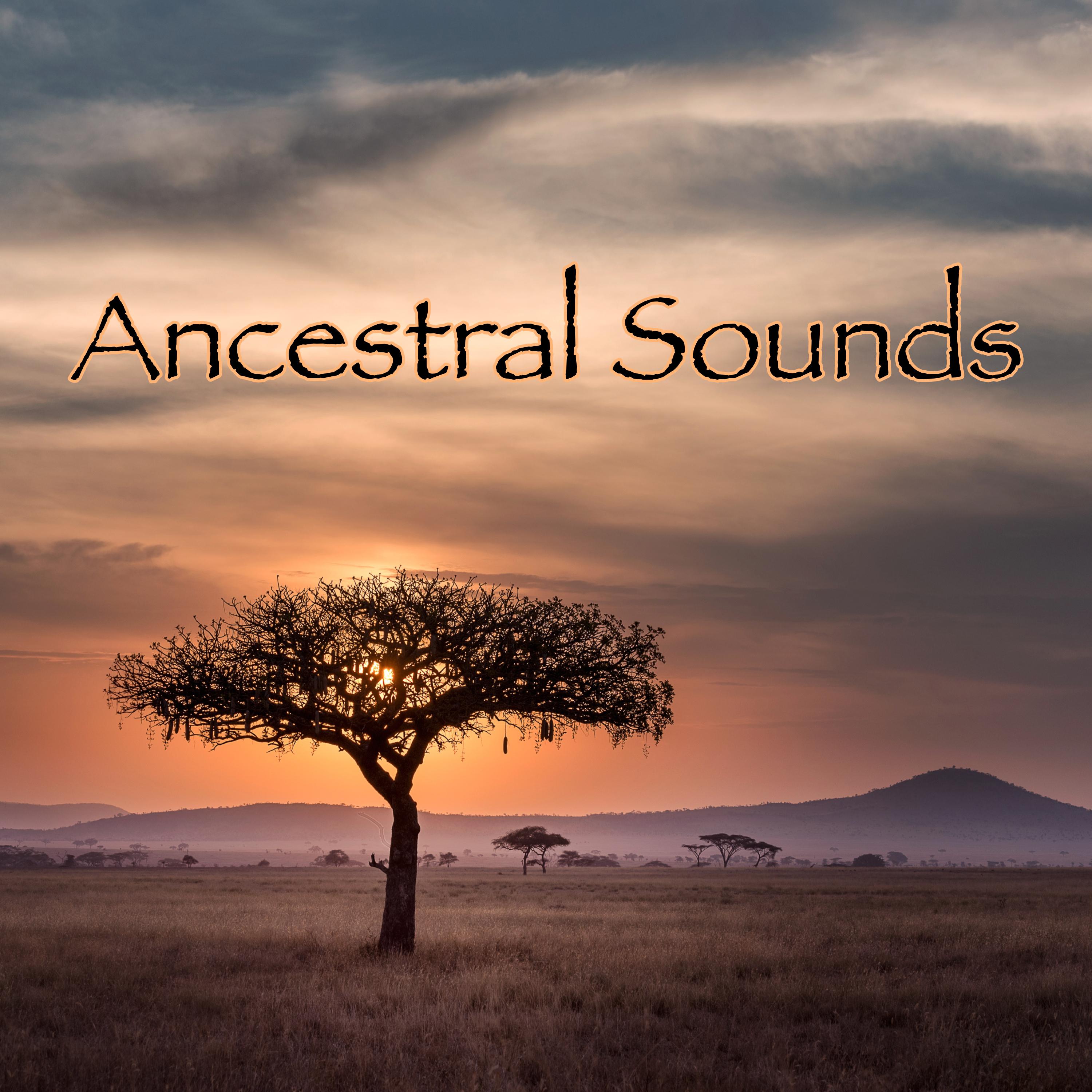 Ancestral Sounds – Tabla, Flutes, Drums and Other Ethno Music for Self Awakening