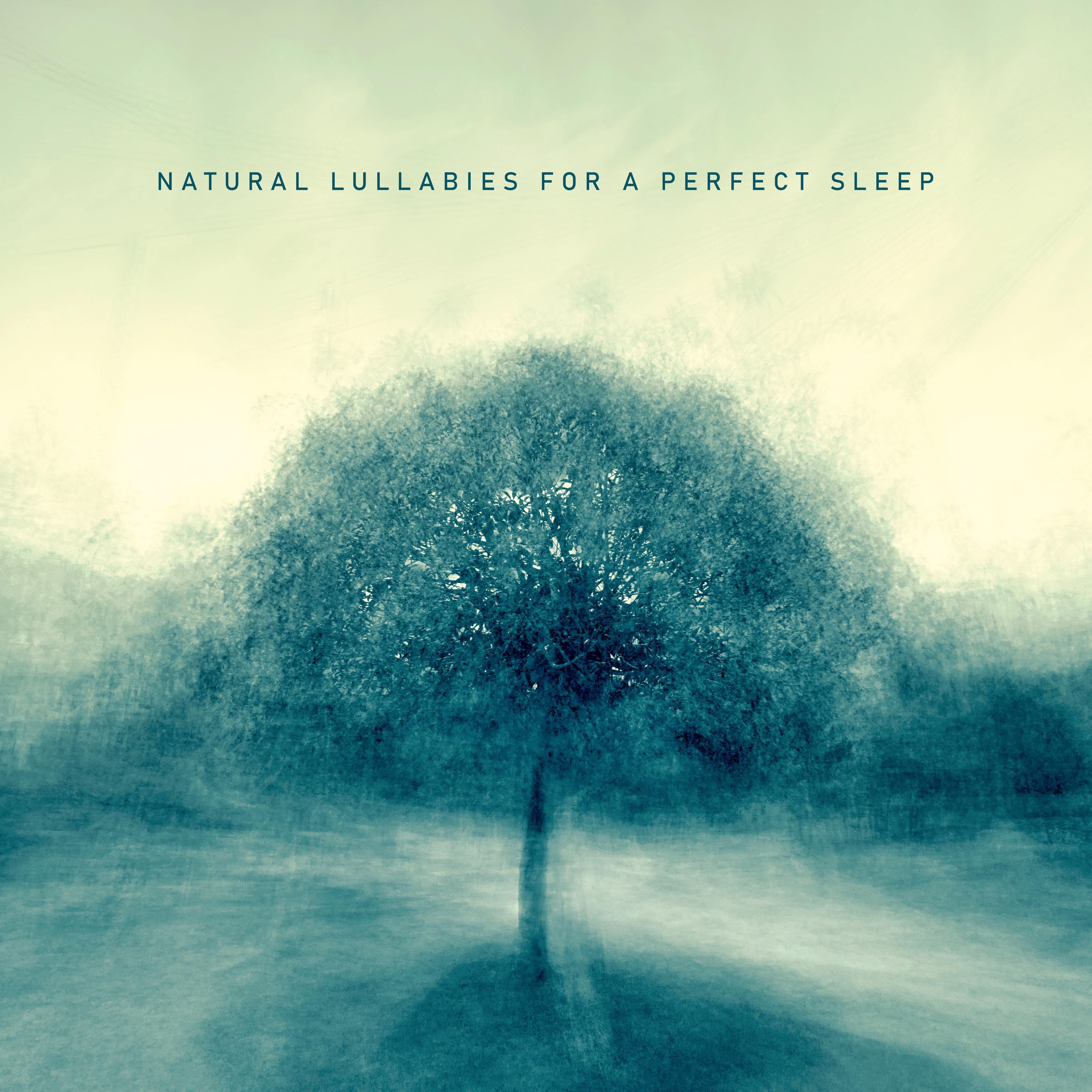 Natural Lullabies for a Perfect Sleep: New Age Nature Music 2019 Collection for Full Rest After Tough Day, Calming Down, Stress Relief & Sleep Well All Night Long