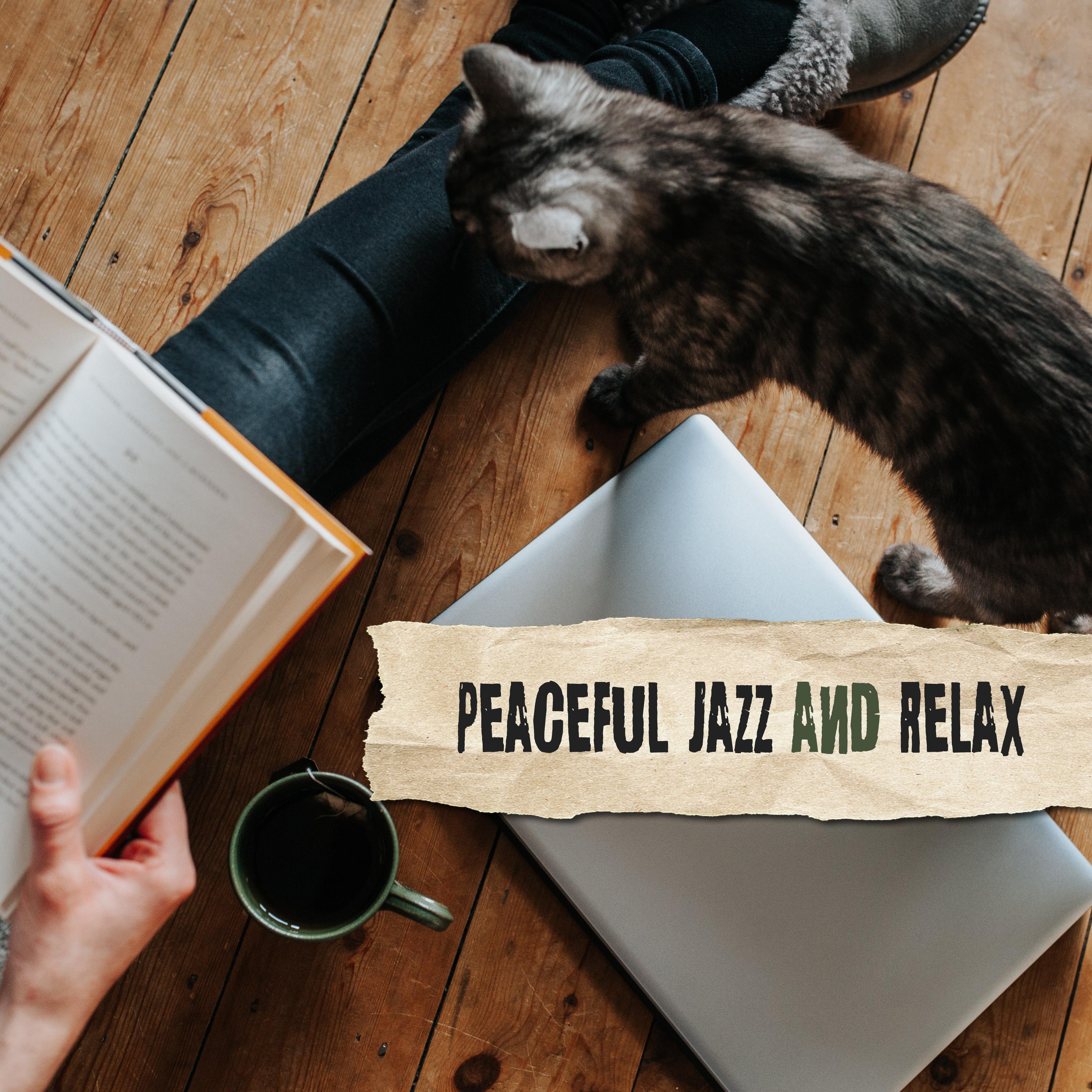 Peaceful Jazz and Relax – Instrumental Jazz Music Ambient, Lounge, Jazz Relaxation, Sentimental Jazz