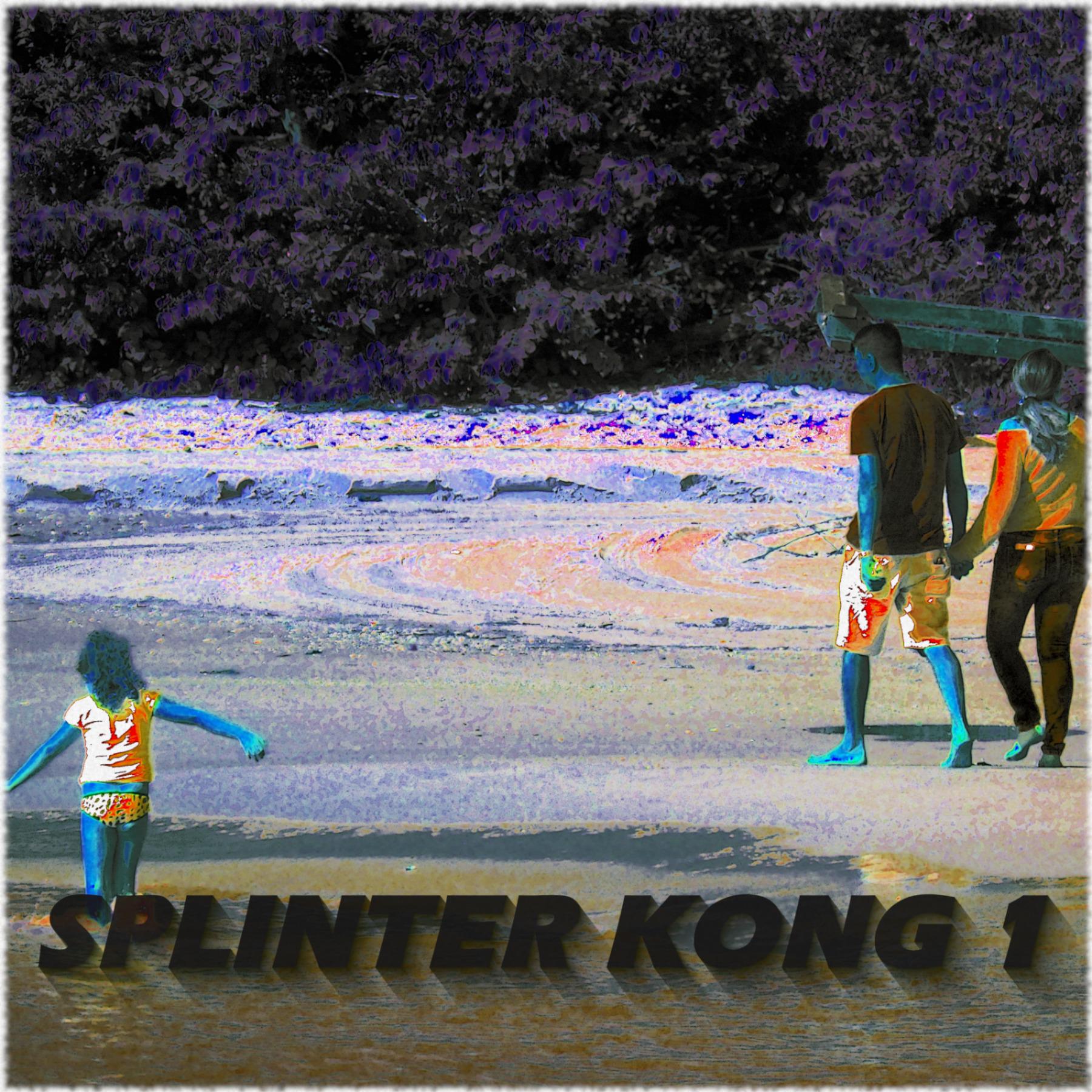 Splinter Kong 1