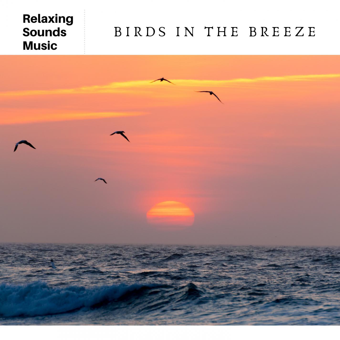 Birds in the Breeze