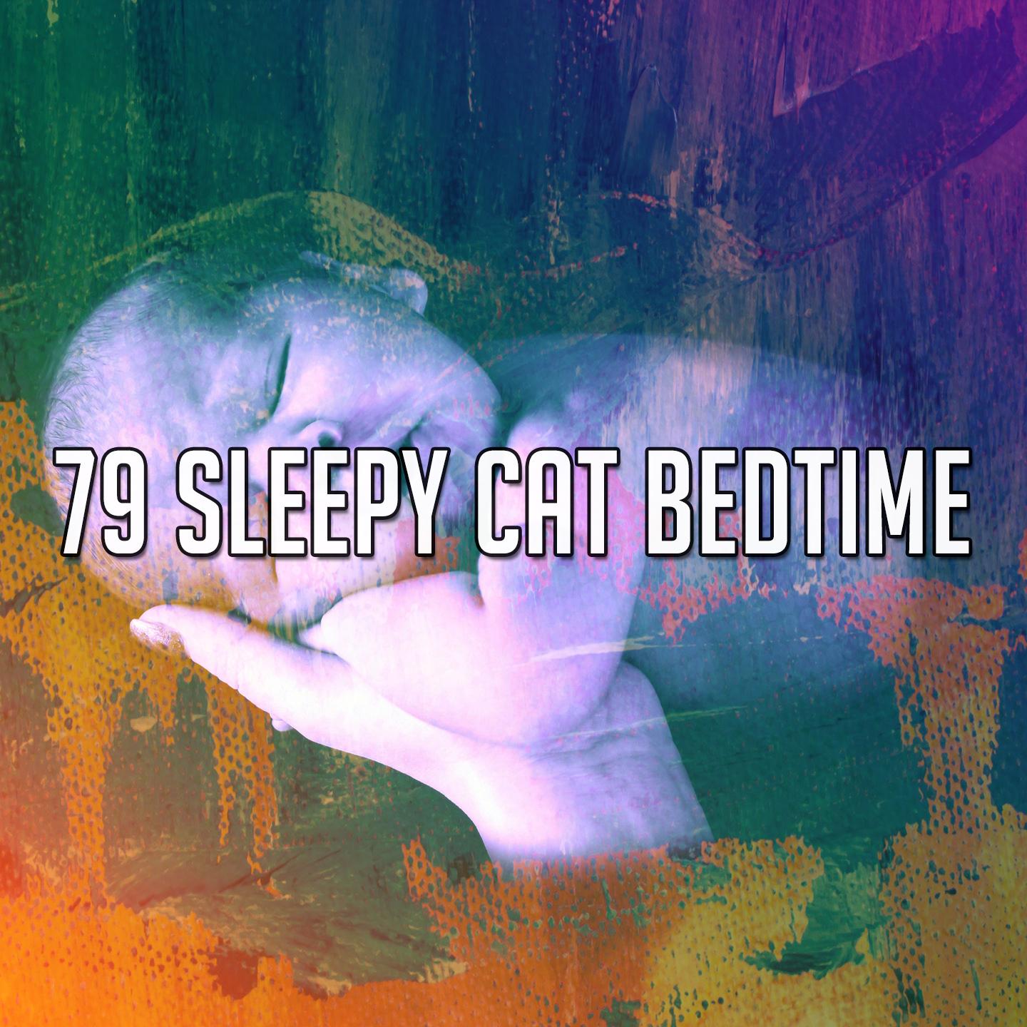 79 Sleepy Cat Bedtime