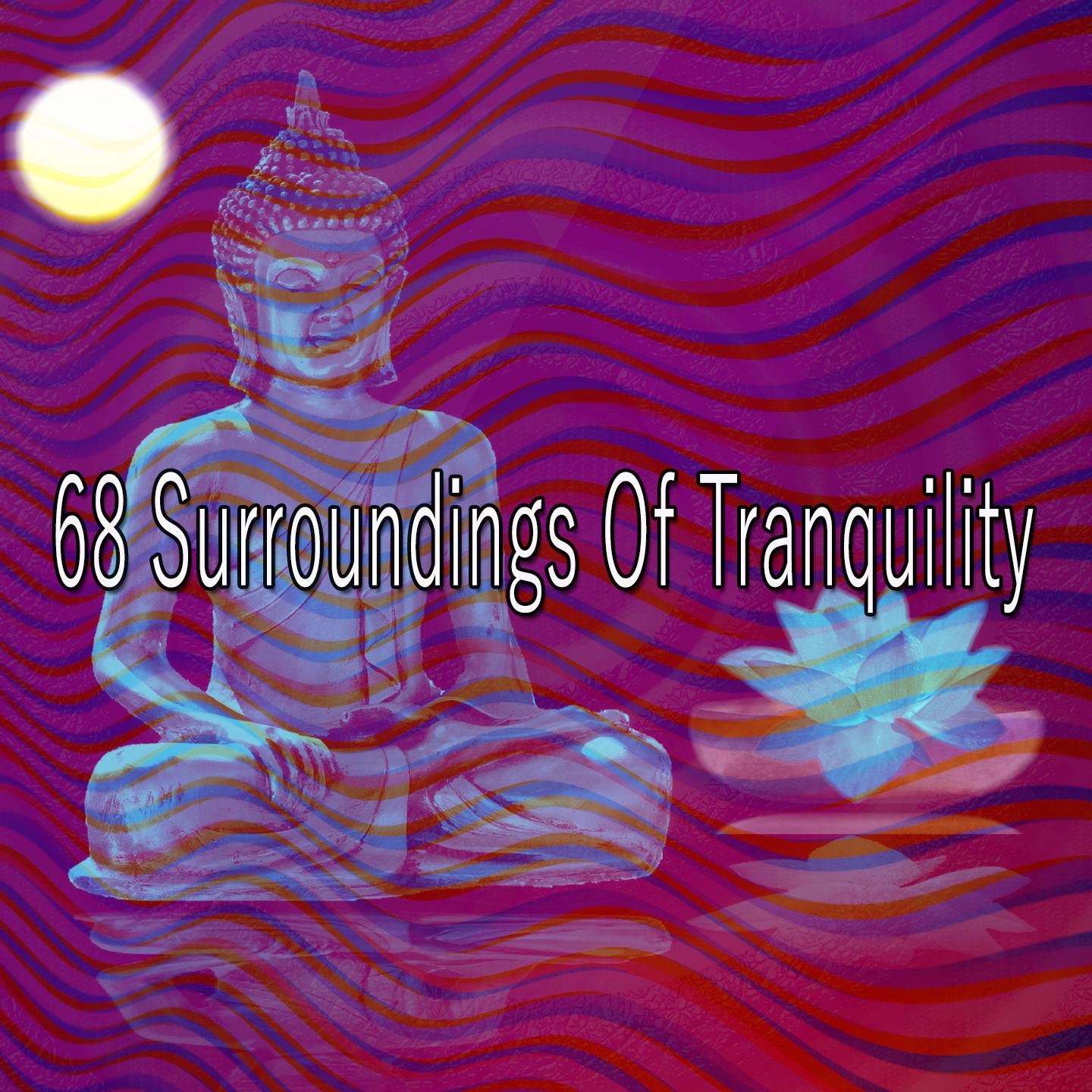 68 Surroundings of Tranquility