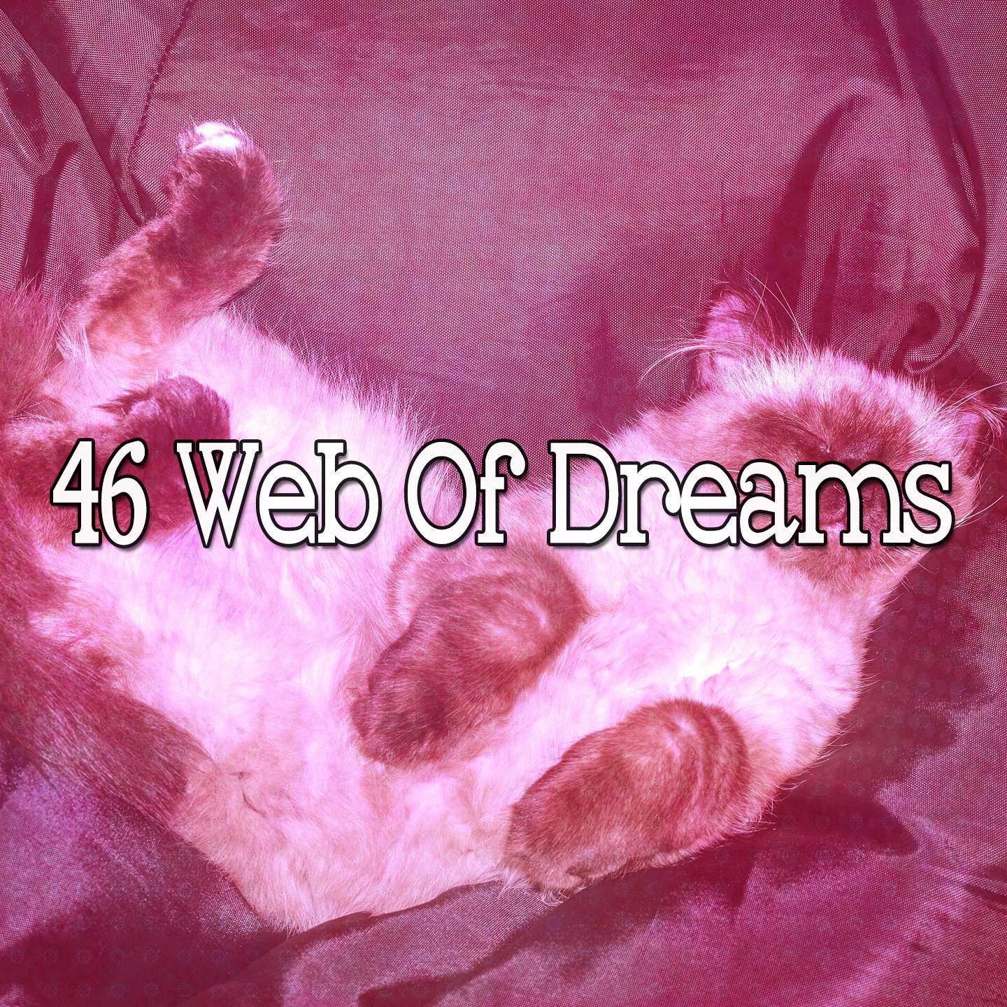 46 Web of Dreams