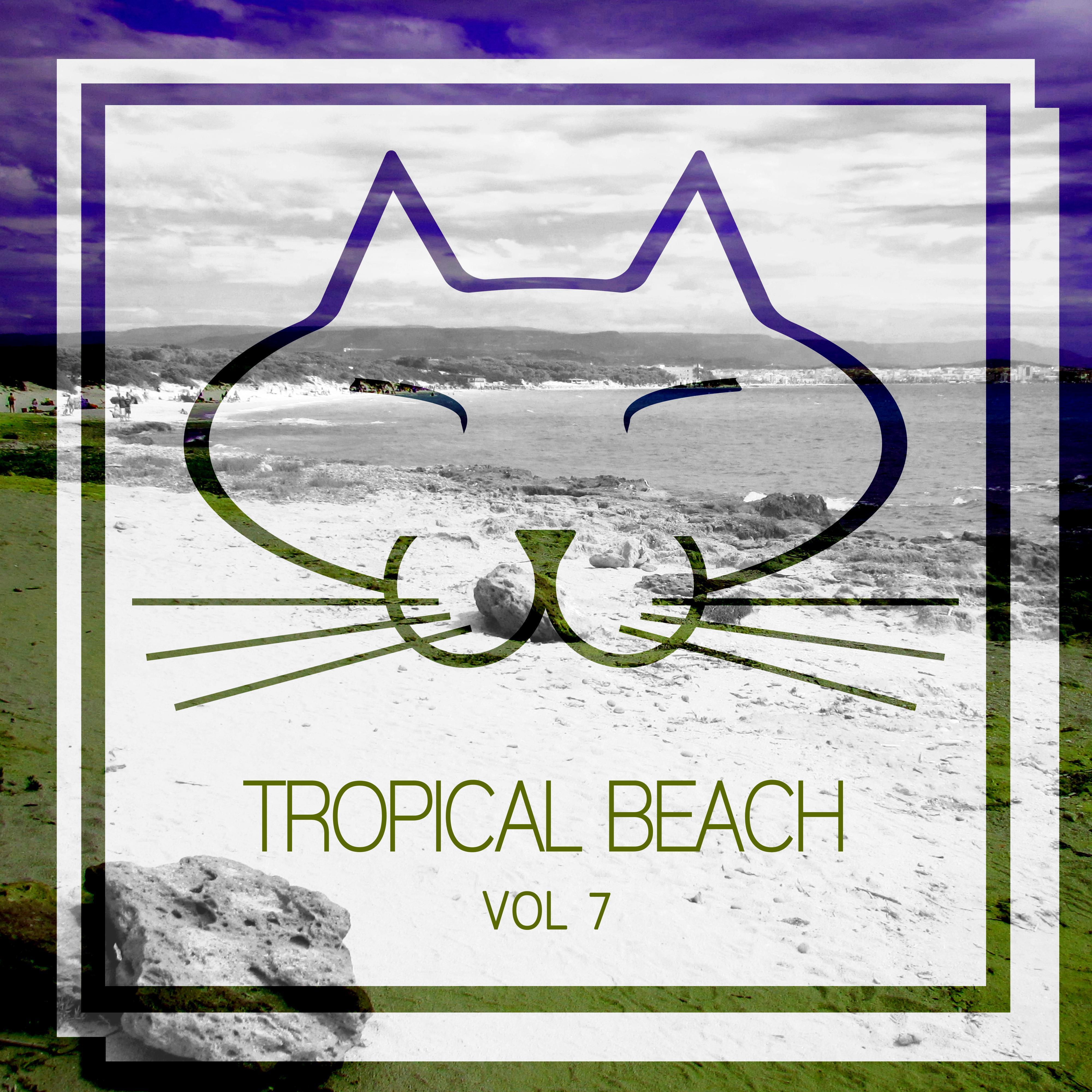 Tropical Beach, Vol. 7