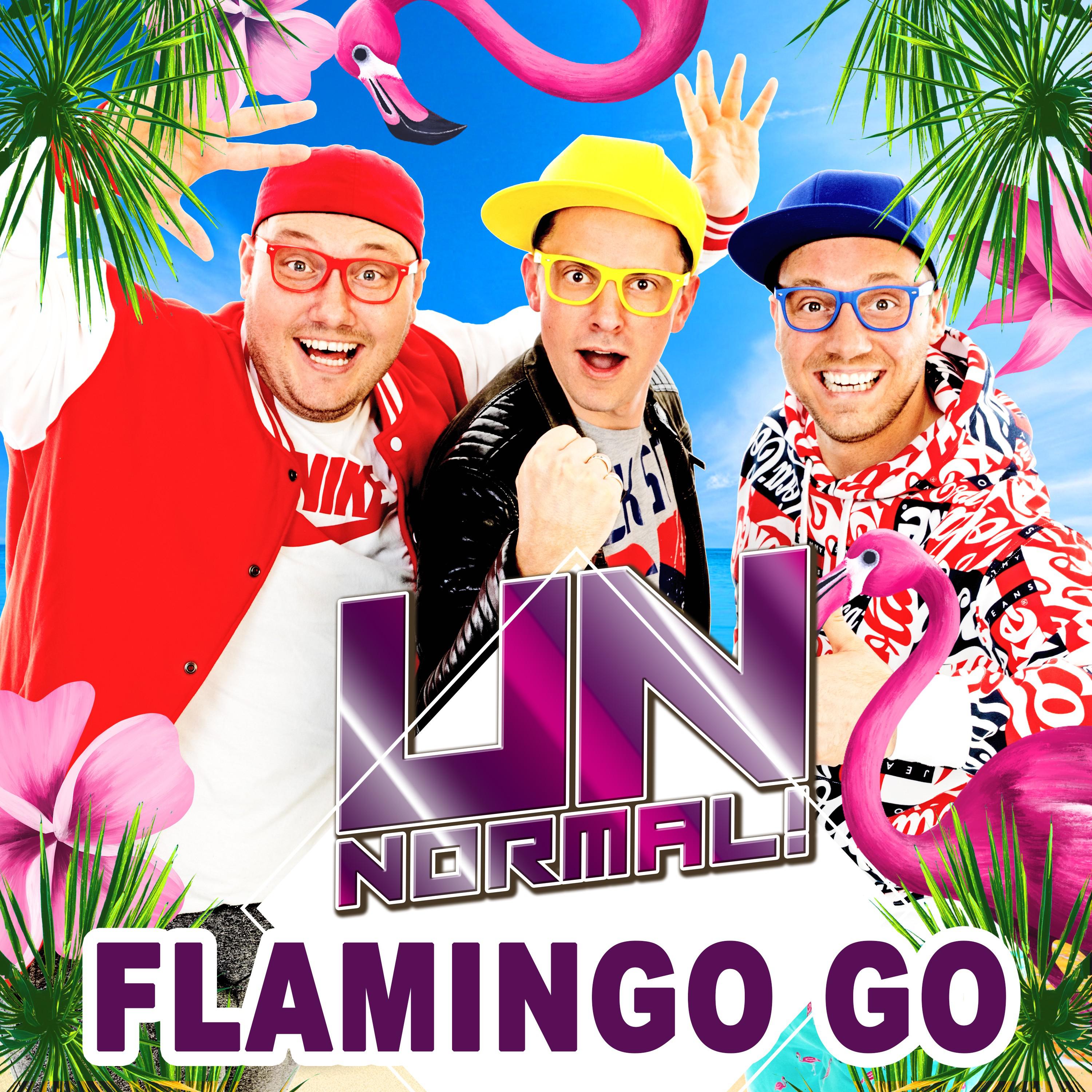 Flamingo Go