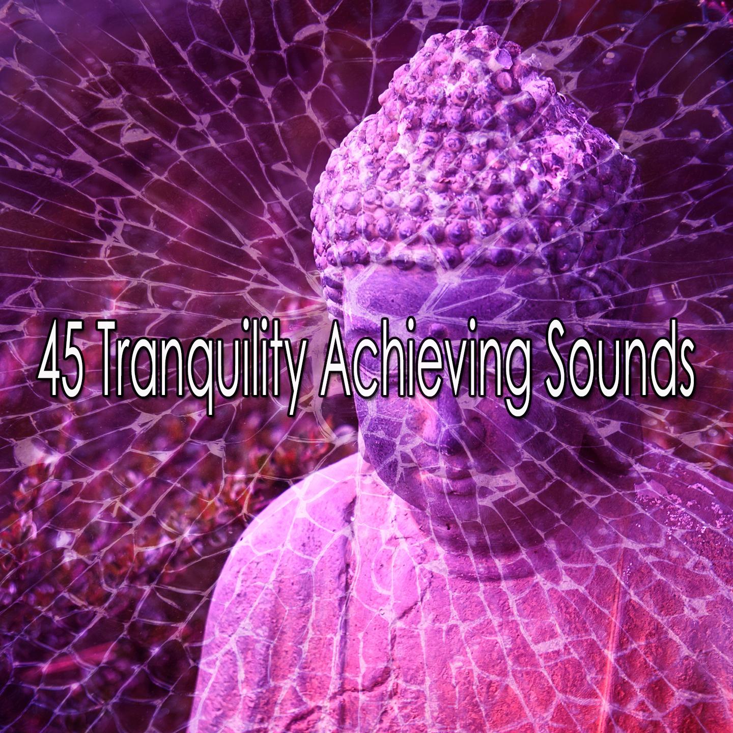 45 Tranquility Achieving Sounds