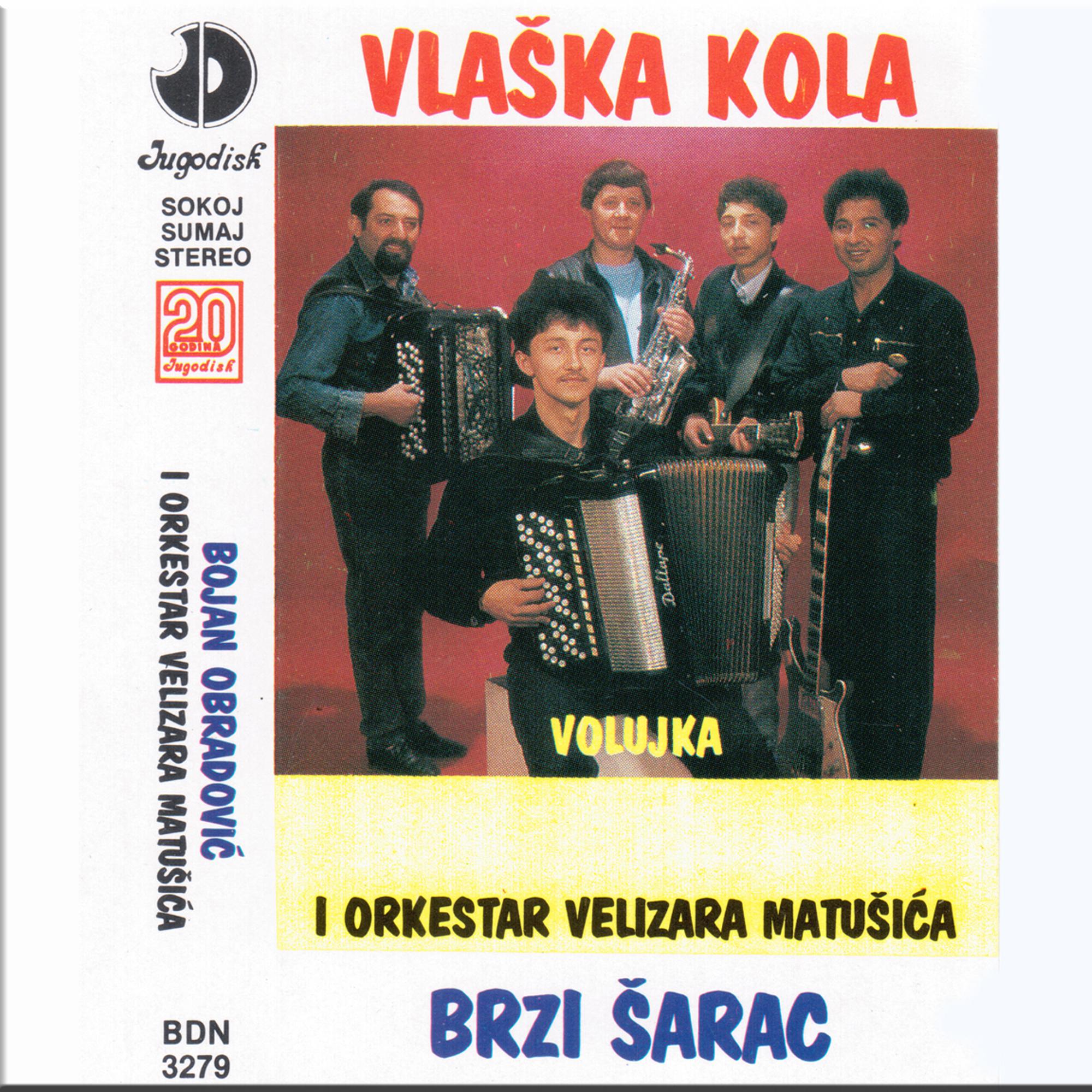 Volujka (Brzi sarac)