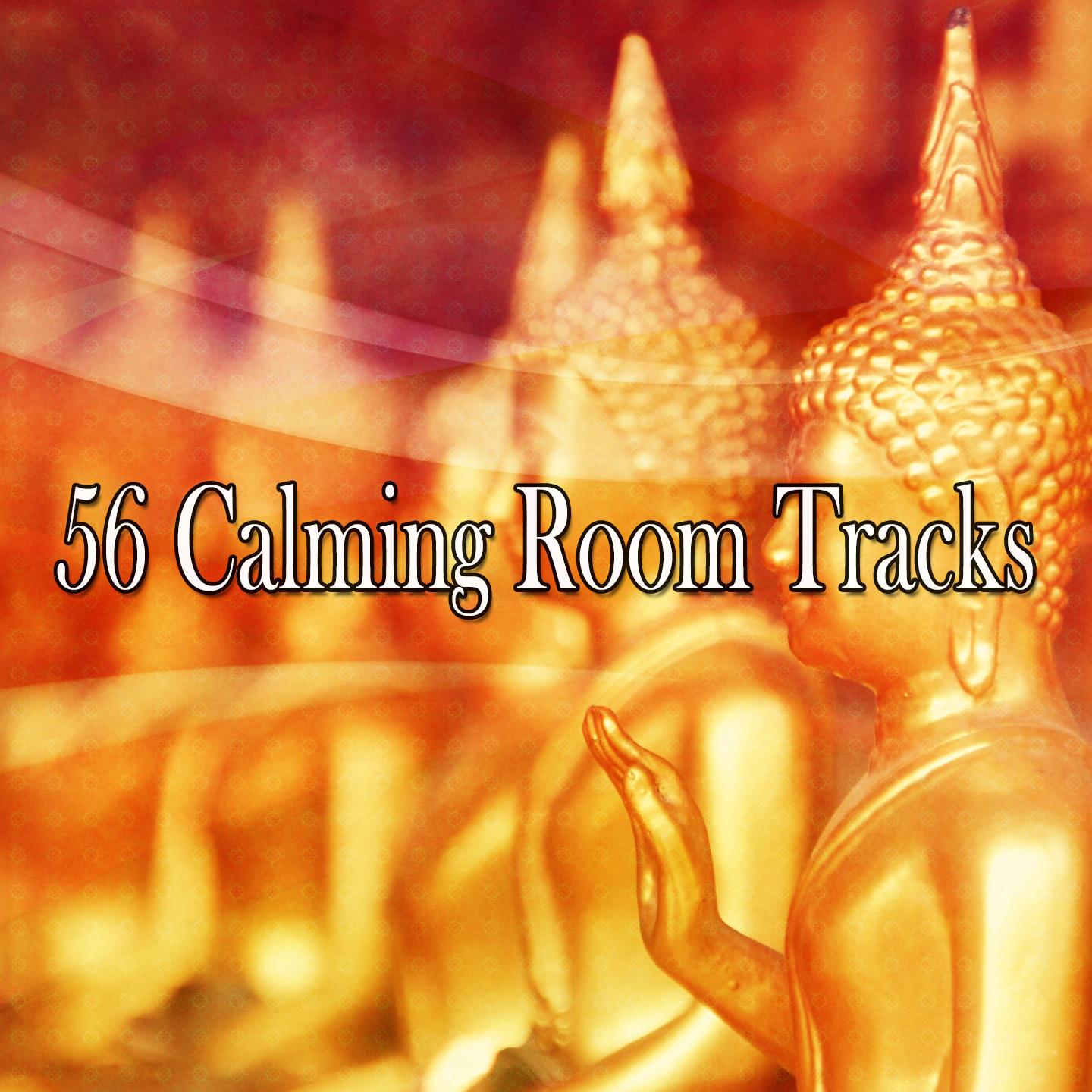 56 Calming Room Tracks