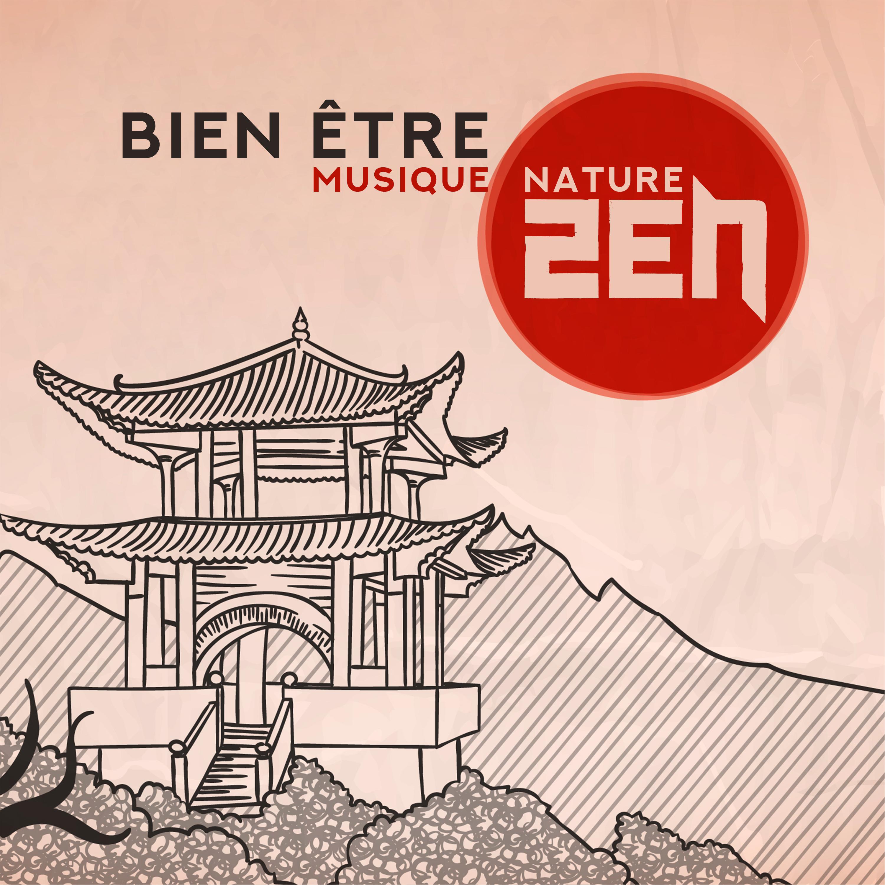 Bien être (Musique nature zen, Relaxation spirituelle, Soulagement du stress, Paix intérieure, Méditation de guérison)