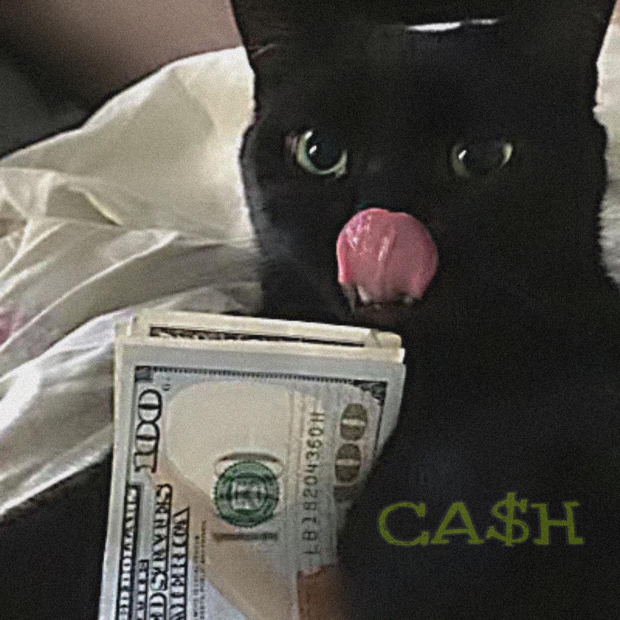 CA$H