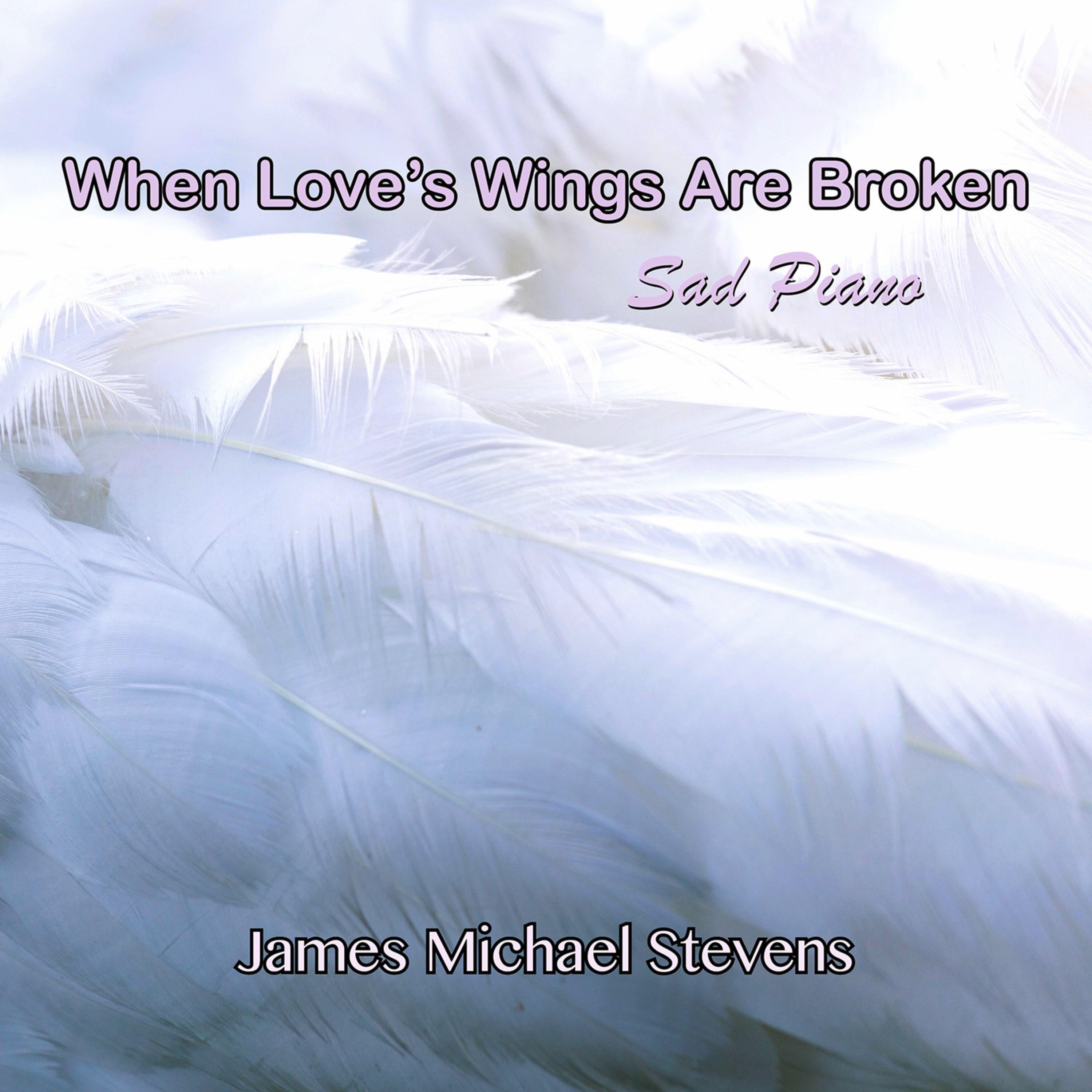 When Love's Wings Are Broken - Sad Piano