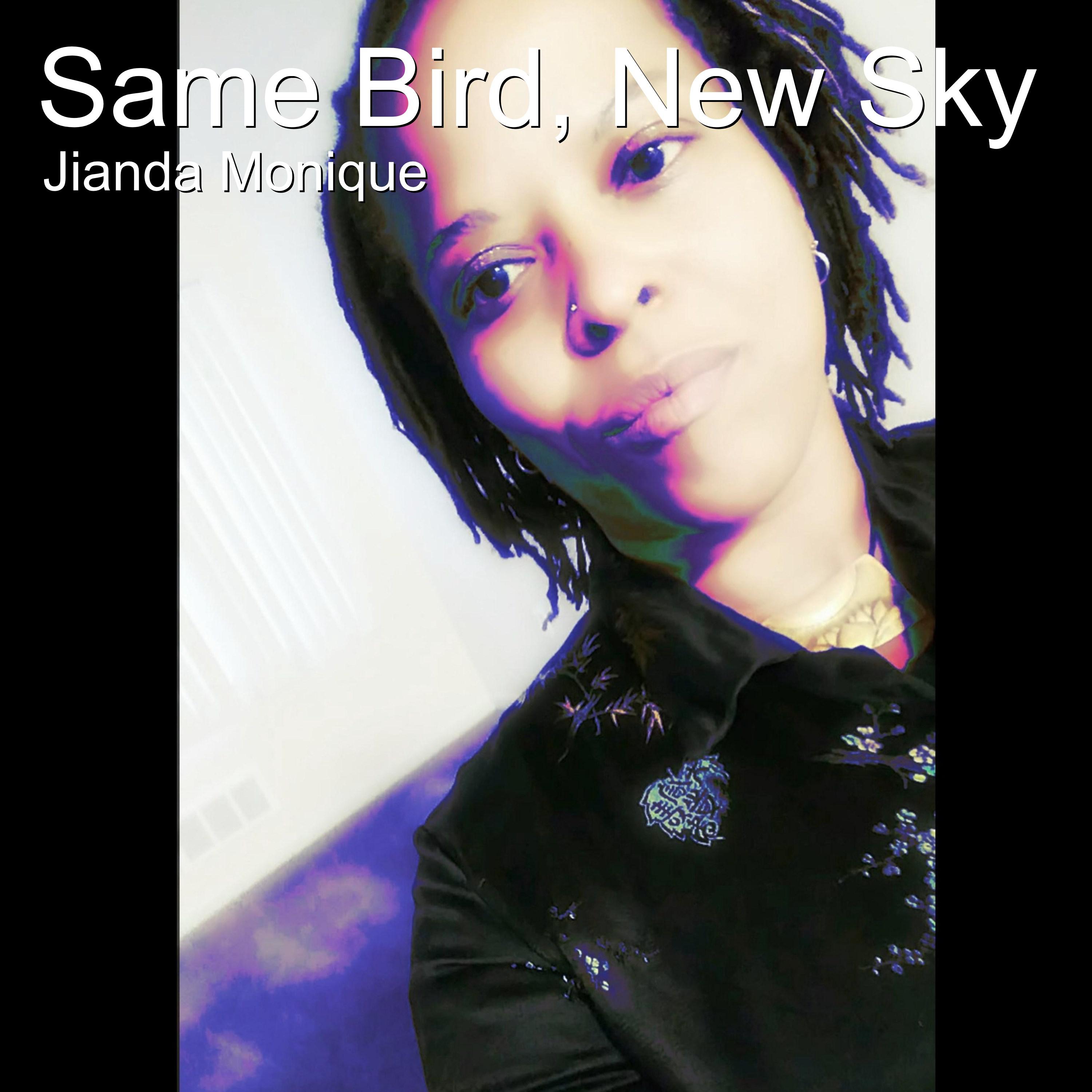 Same Bird, New Sky