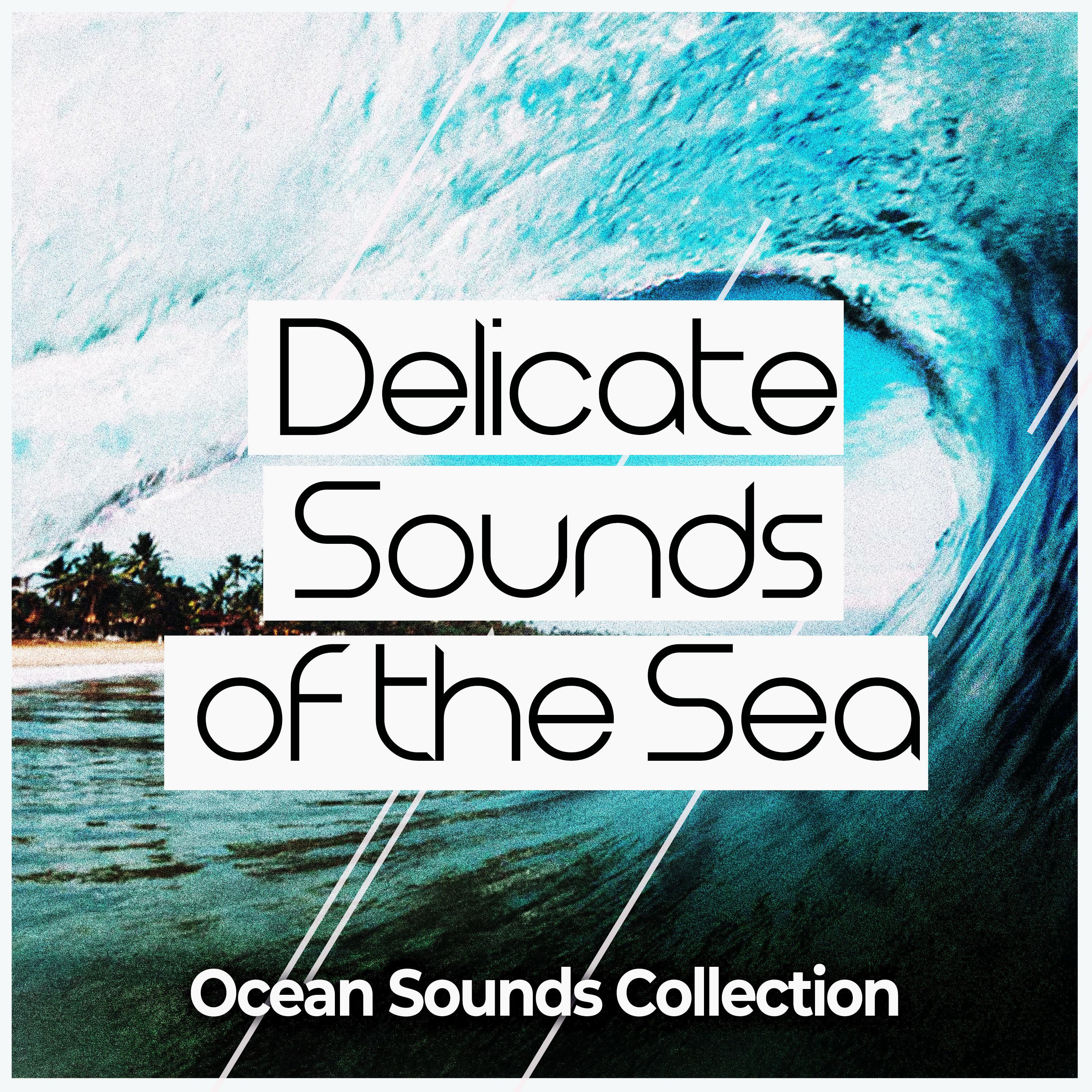Delicate Sounds of the Sea