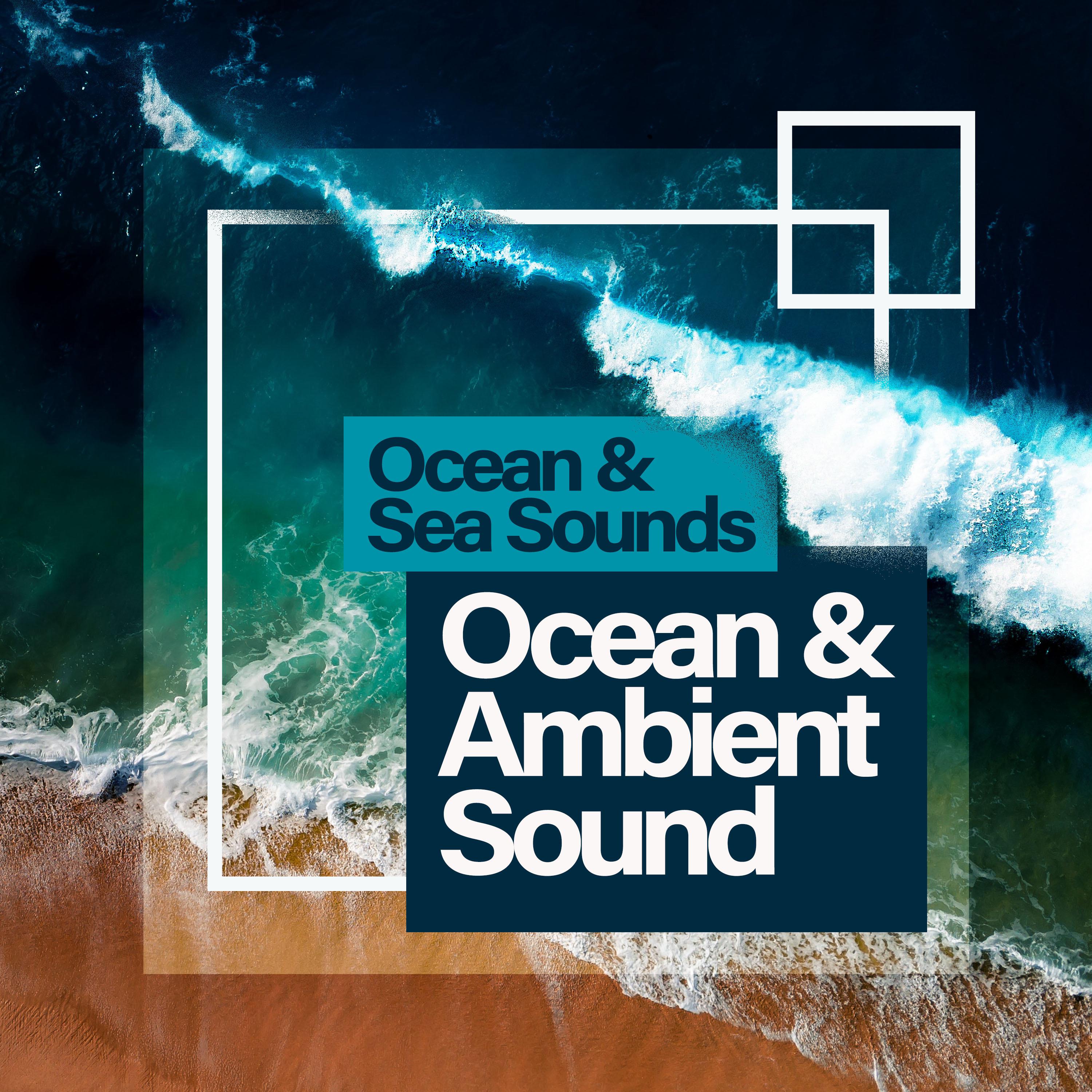 Ocean & Ambient Sound