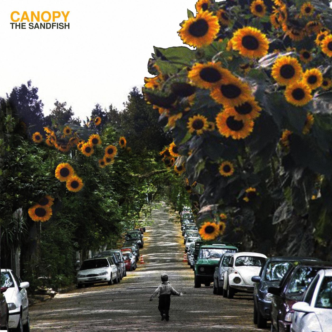 Canopy