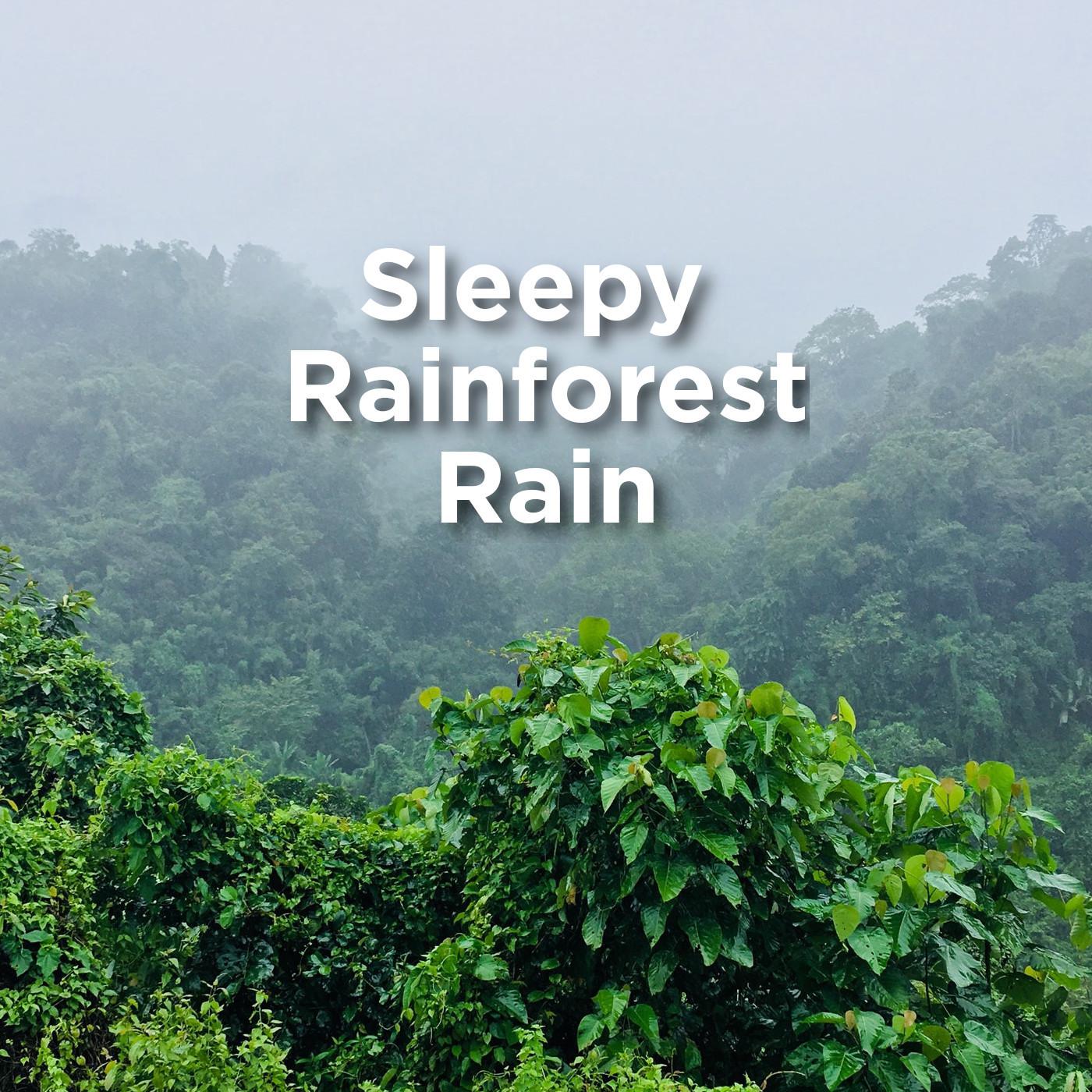 Sleepy Rainforest Rain