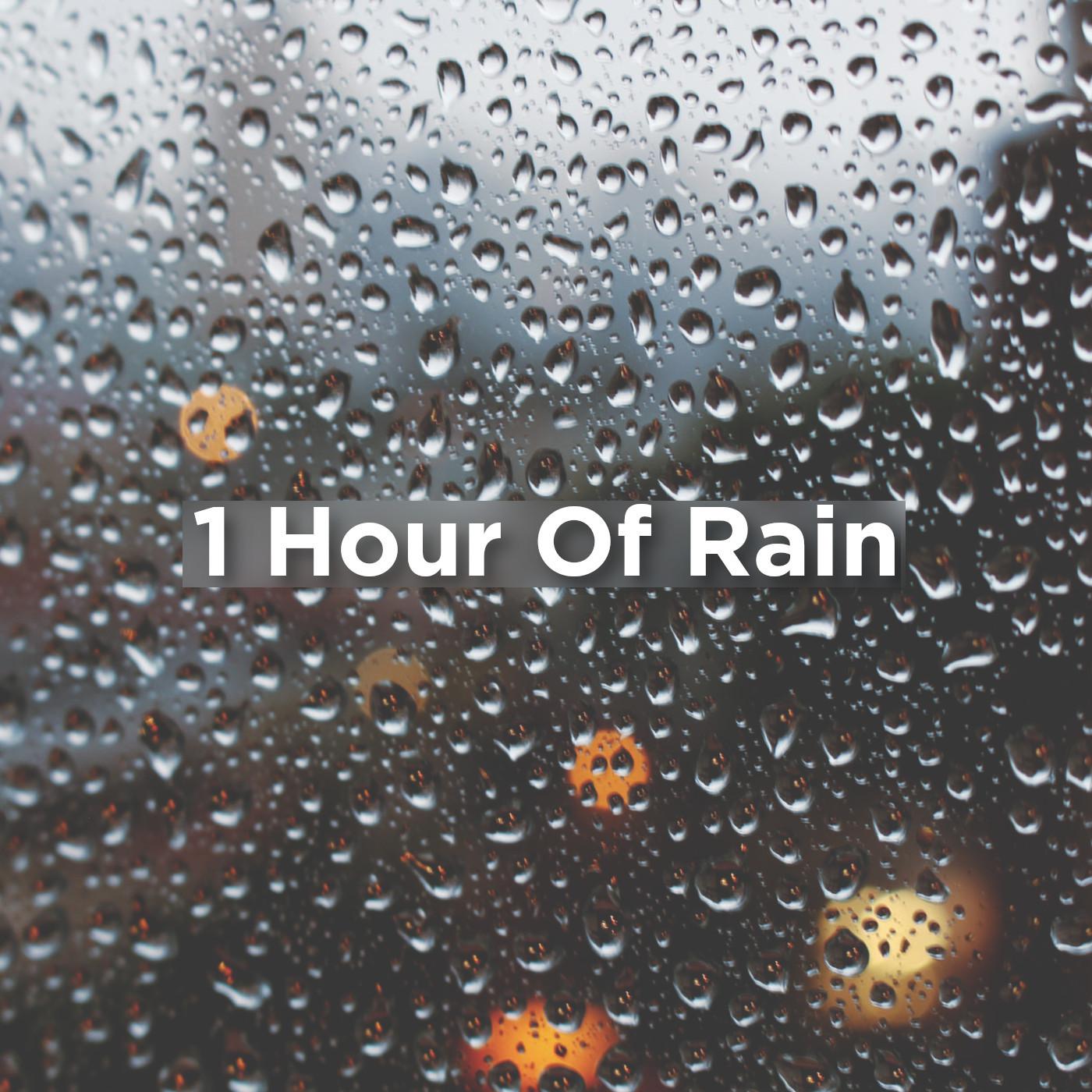 1 Hour Of Rain