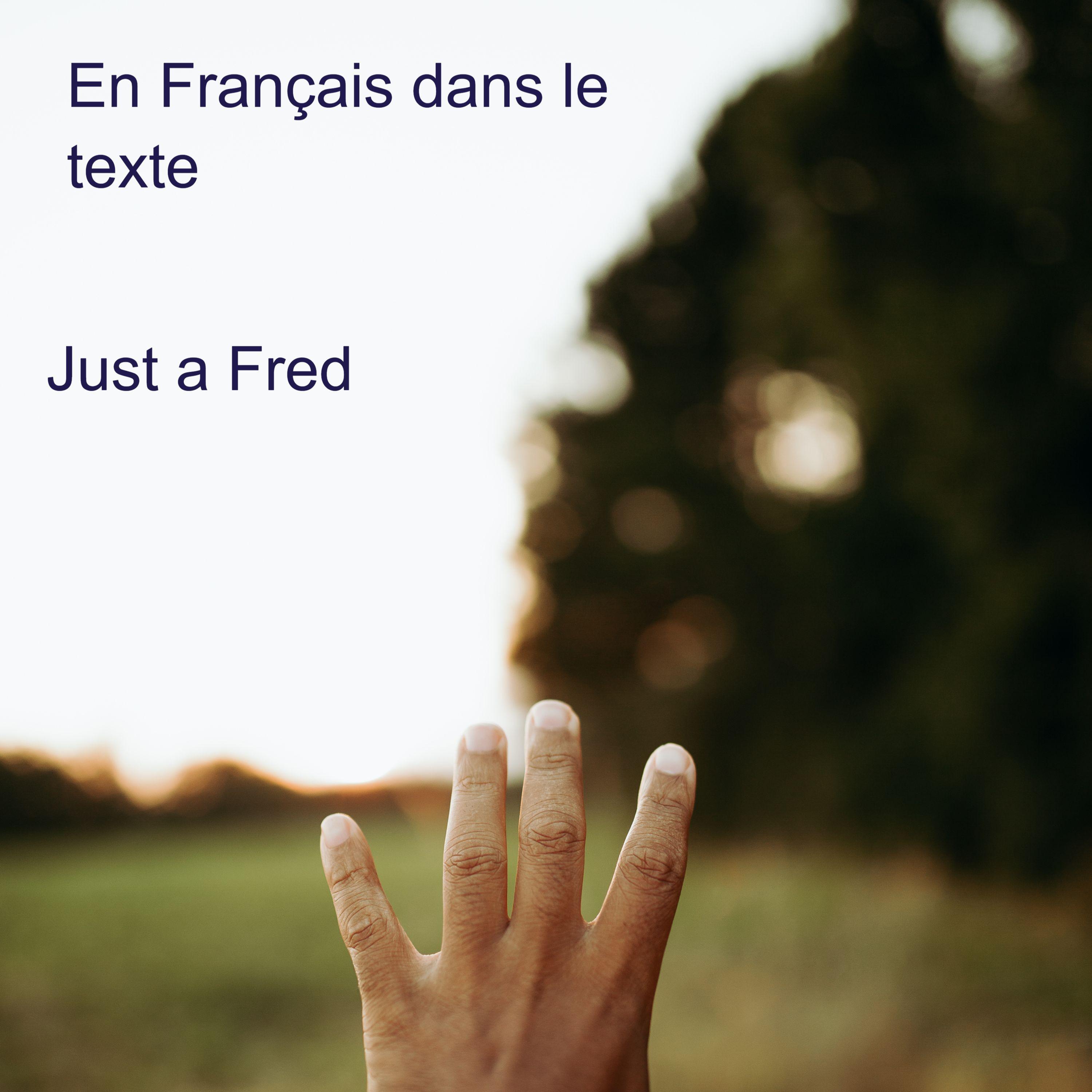 En Français dans le texte