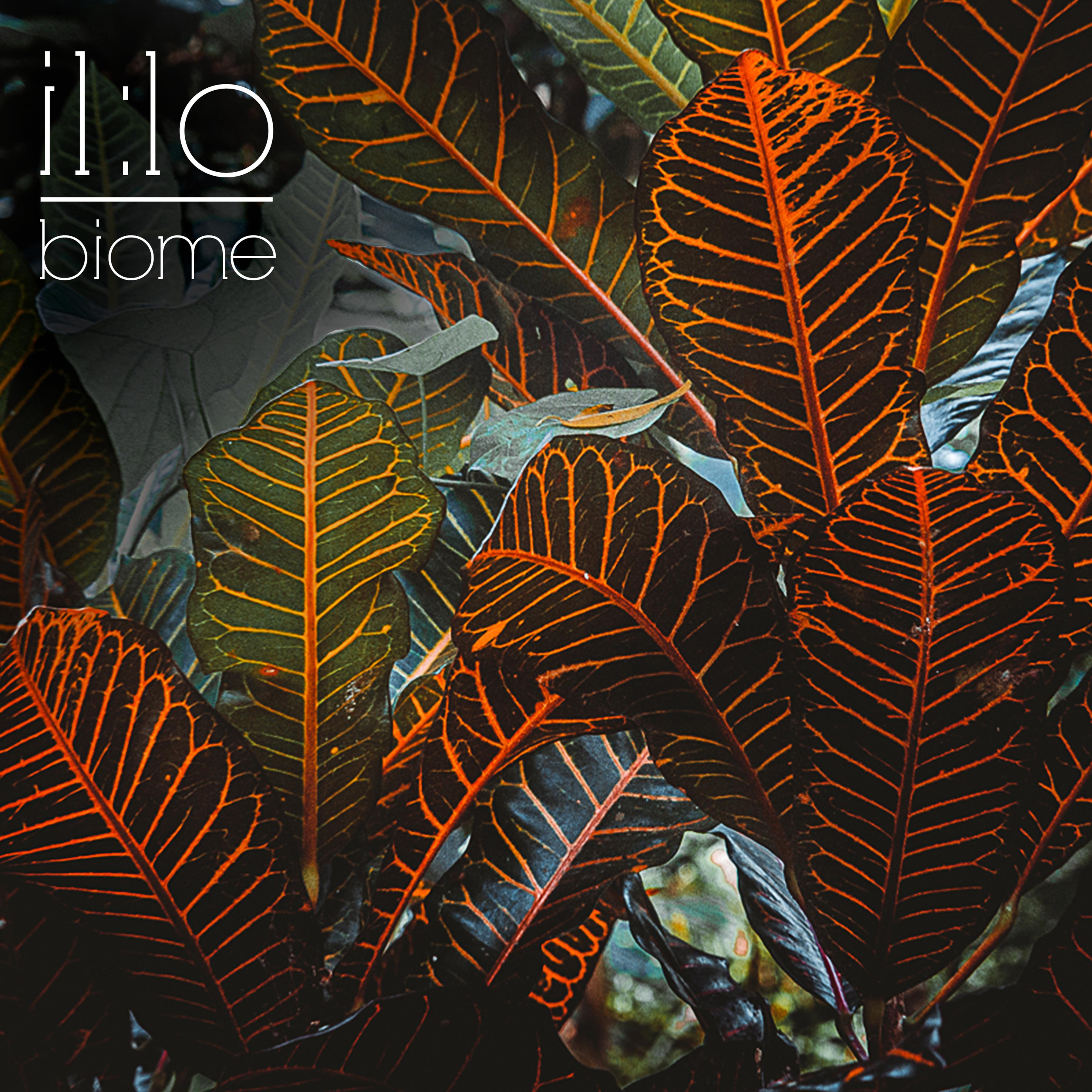 Biome