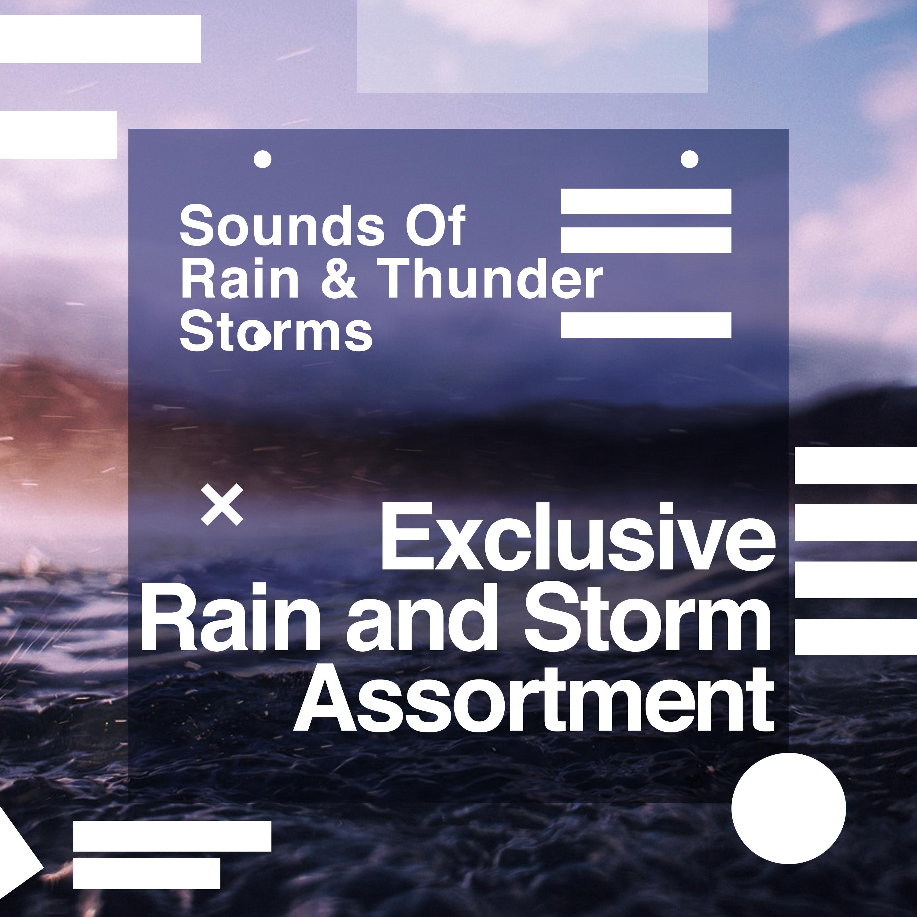 Exclusive Rain and Storm Assortment