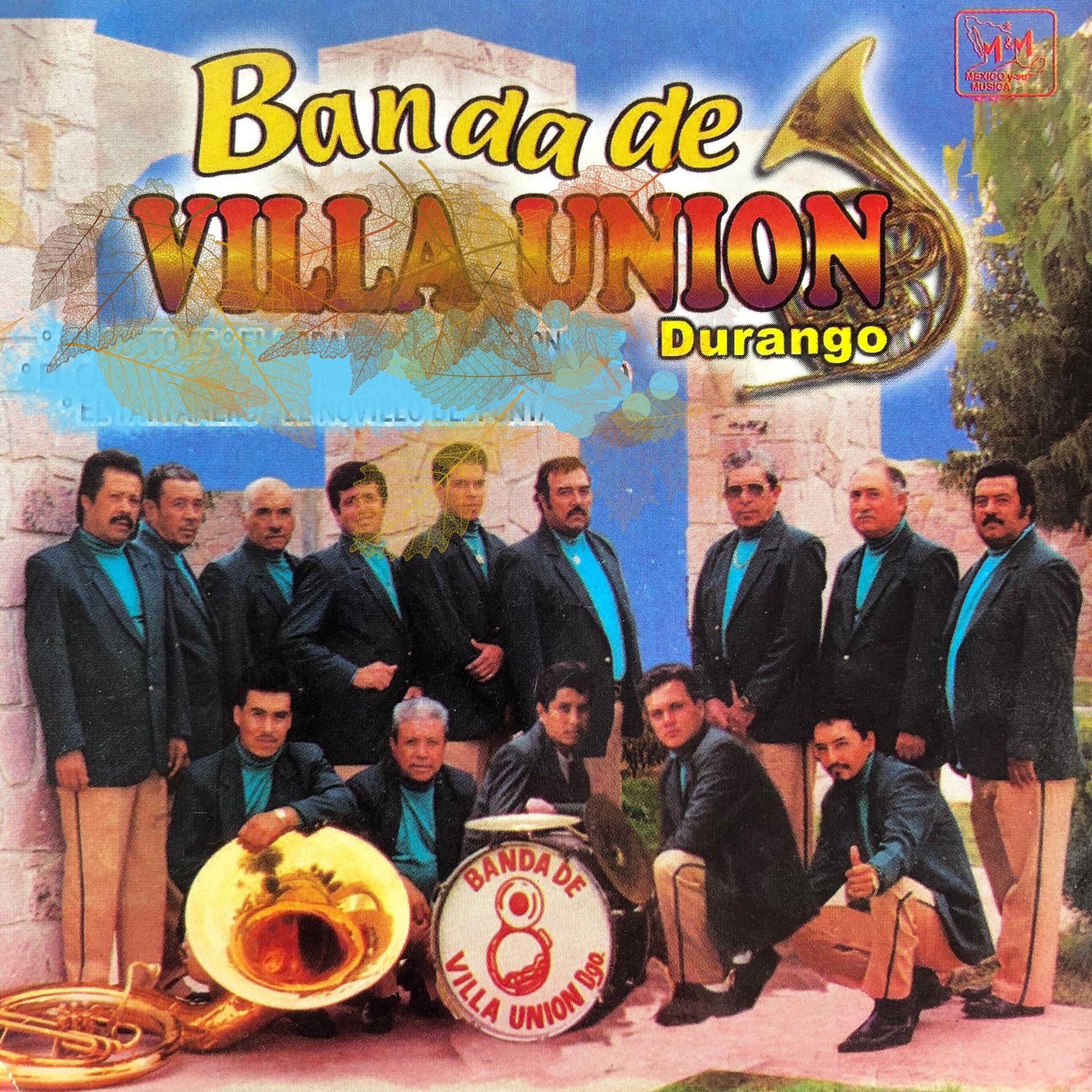 Banda de Villa Union Durango