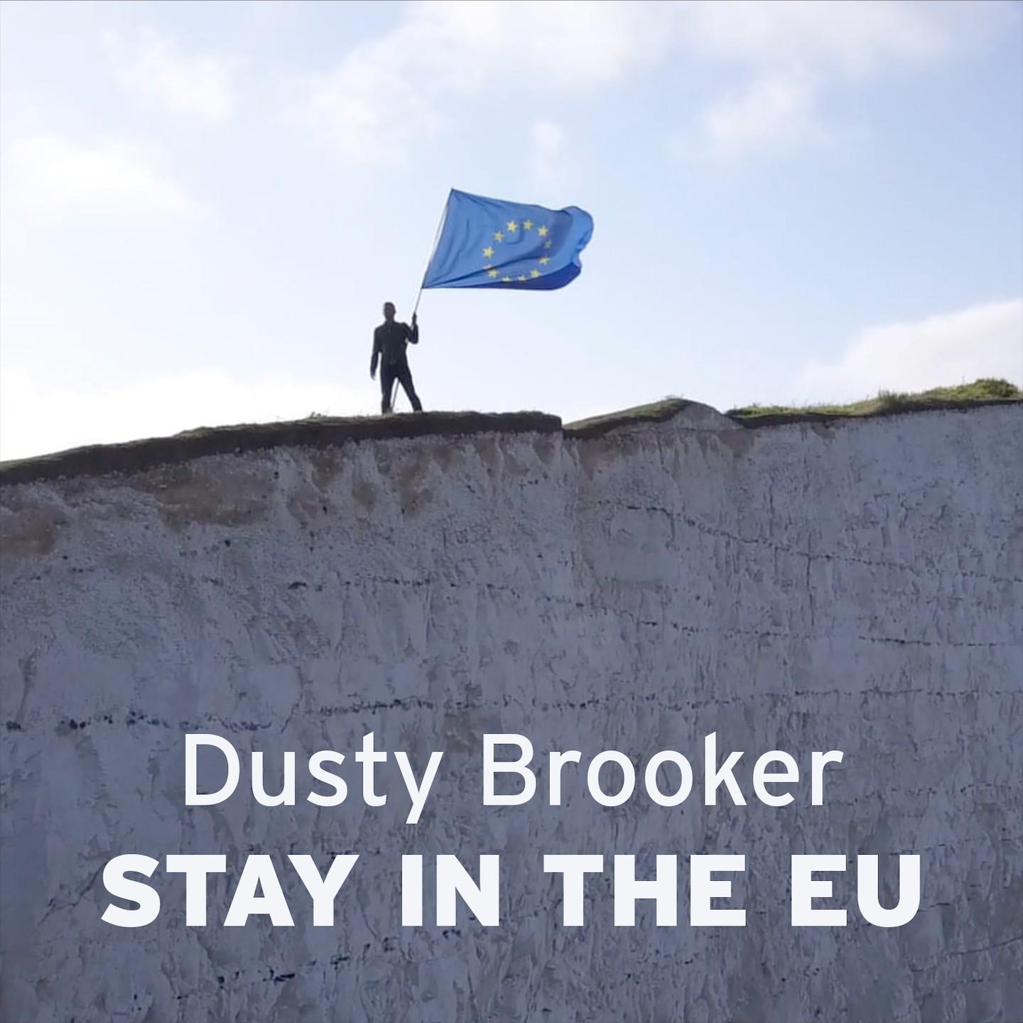 Stay in the EU