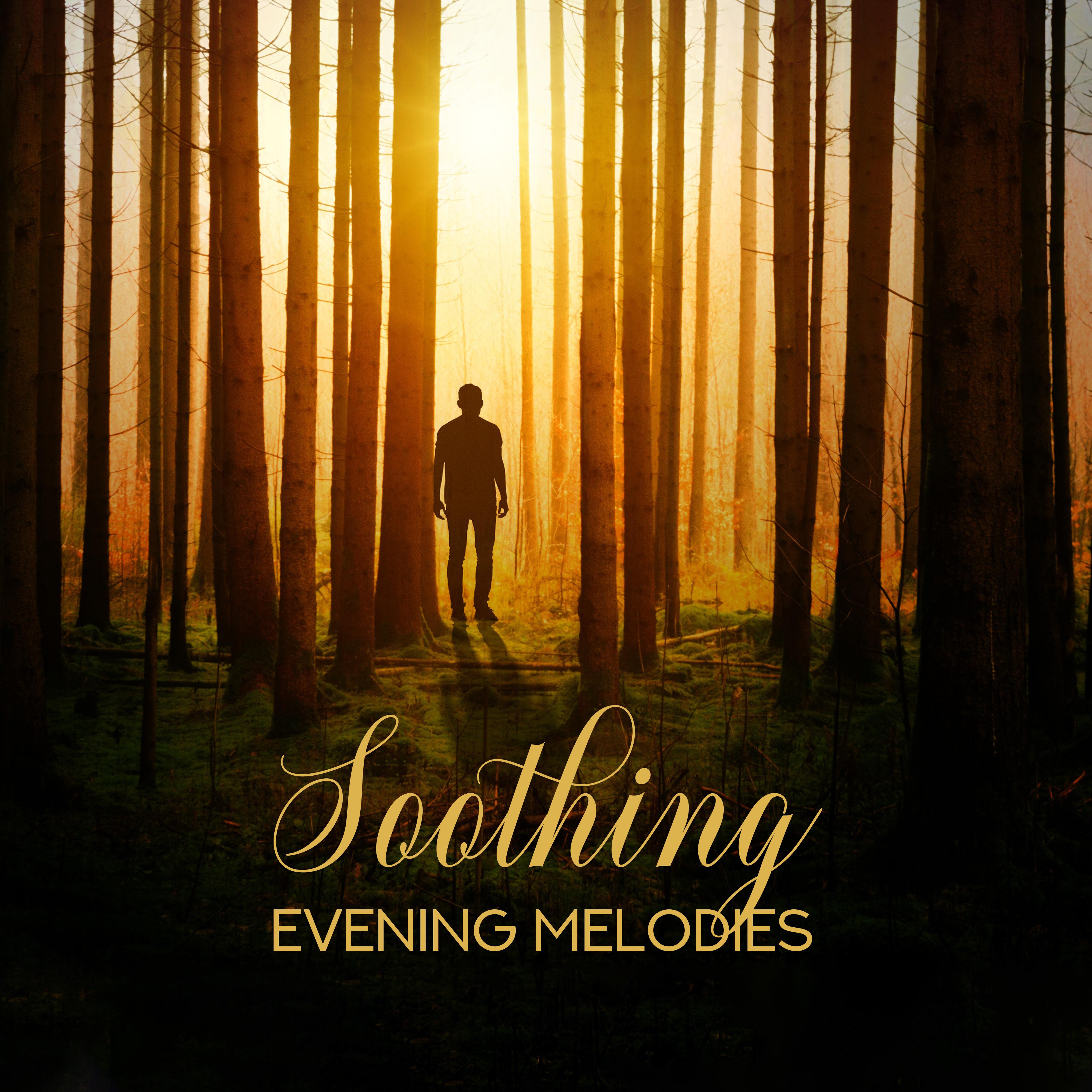 Soothing Evening Melodies: 2019 Compilation of New Age Delicate Relaxation Music, Nature Songs Created for Loose the Body, Calm Sleeping All Night Long, Restore Your Vital Energy