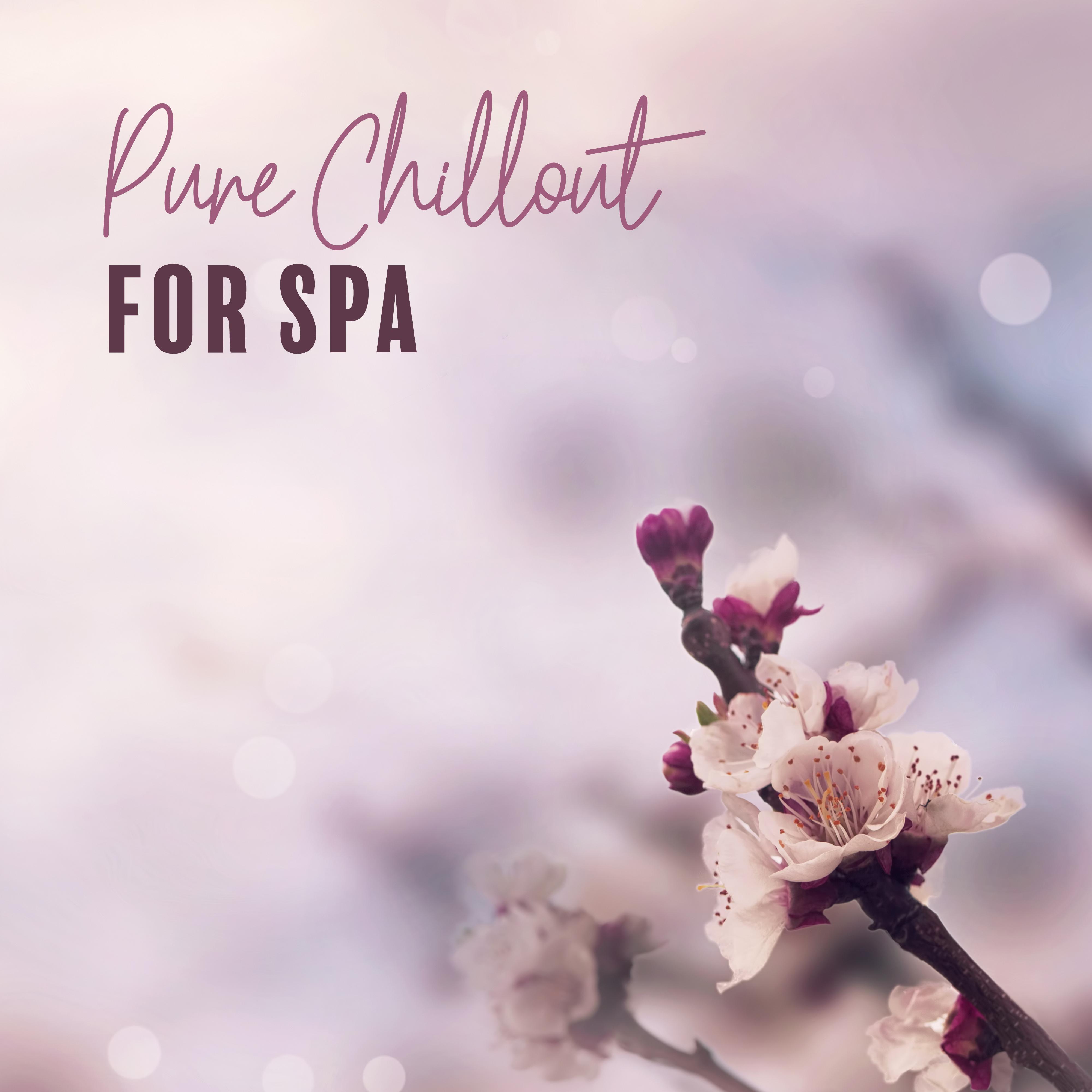 Pure Chillout for Spa: Ambient Music, Deep Relaxation, Massage Music, Lounge, Deep Harmony, Relaxation Music
