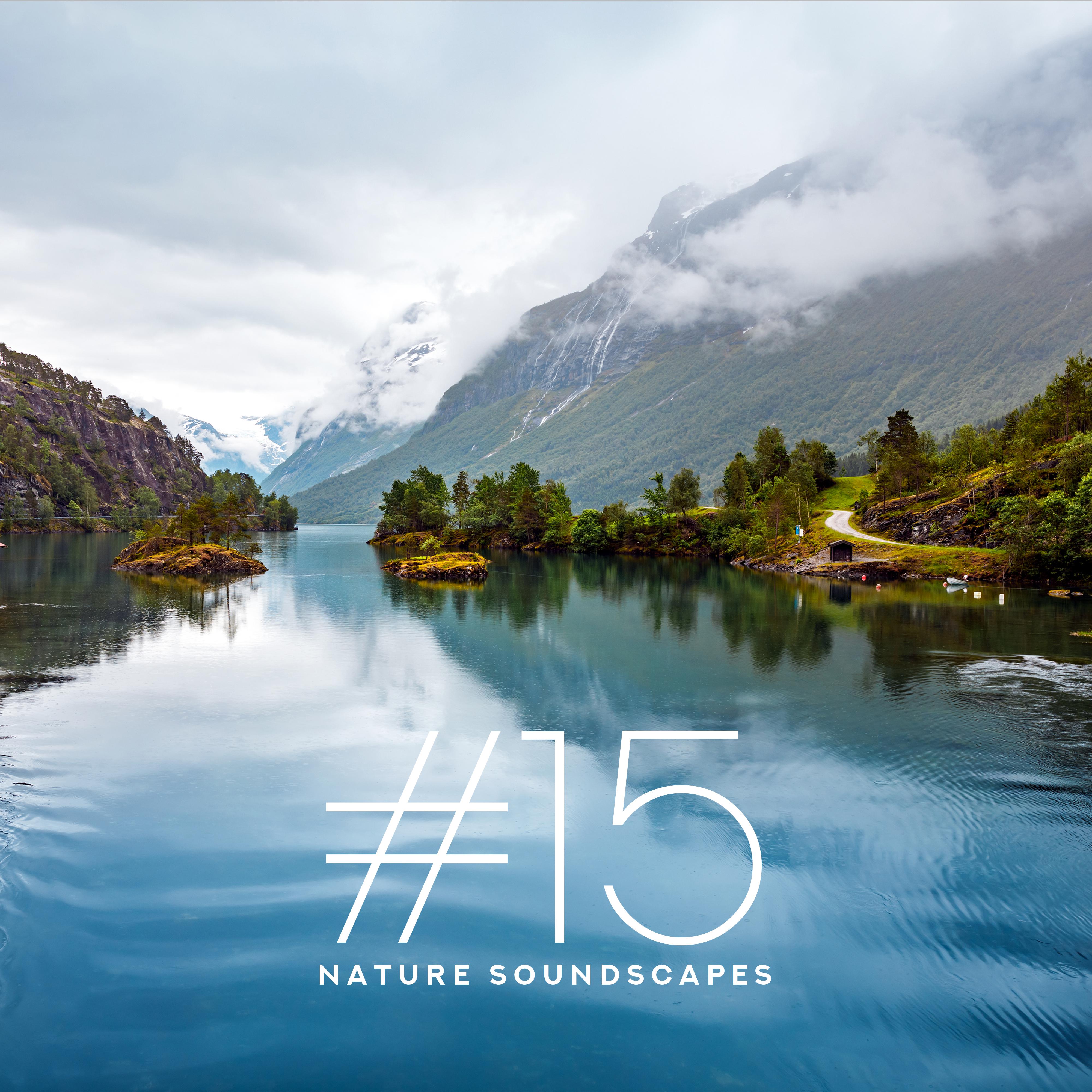 #15 Nature Soundscapes