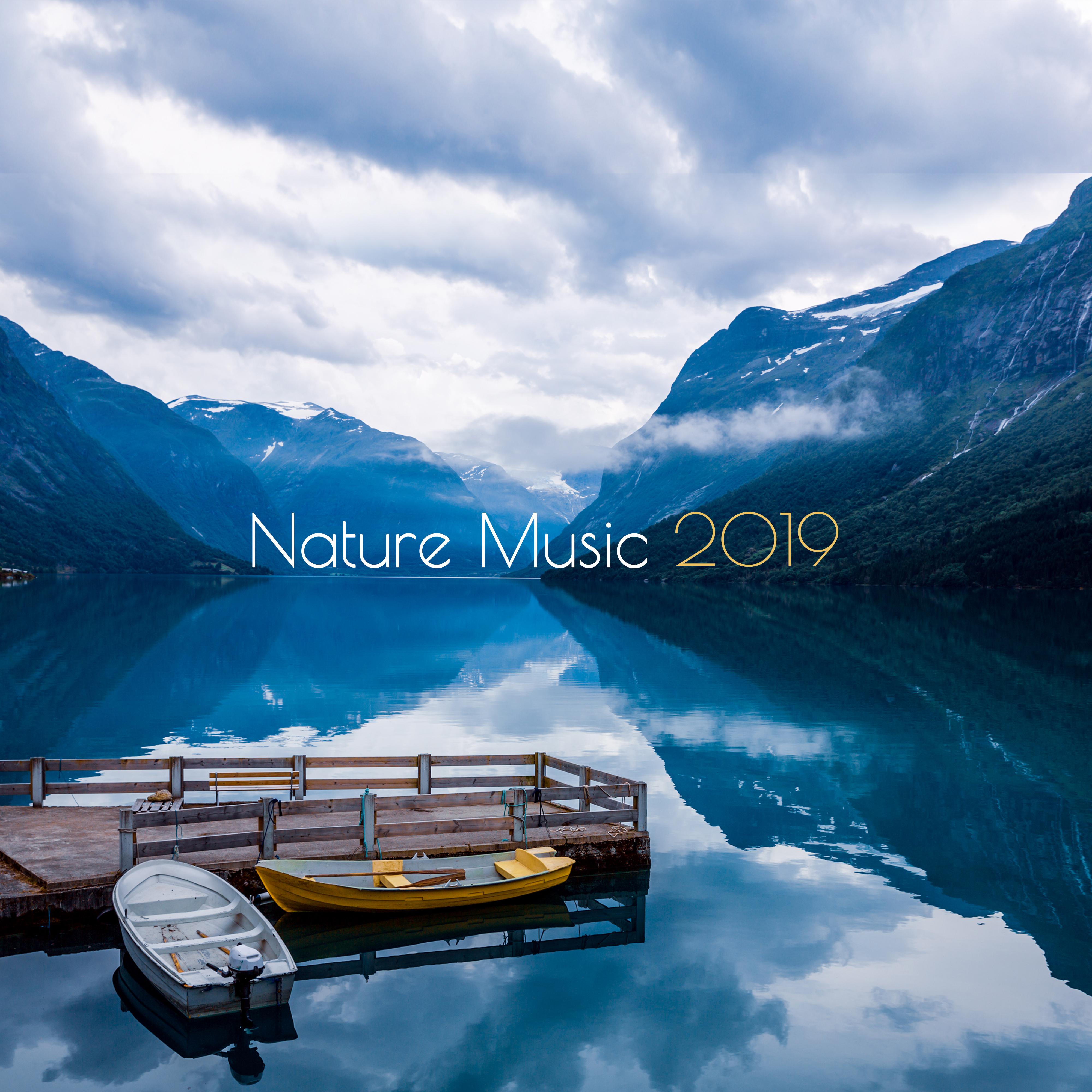 Nature Music 2019: Relaxation Music to Calm Down, Deep Harmony, Zen, Lounge, Soothing Sounds Reduce Stress, Sounds of Nature, Relief Music 2019