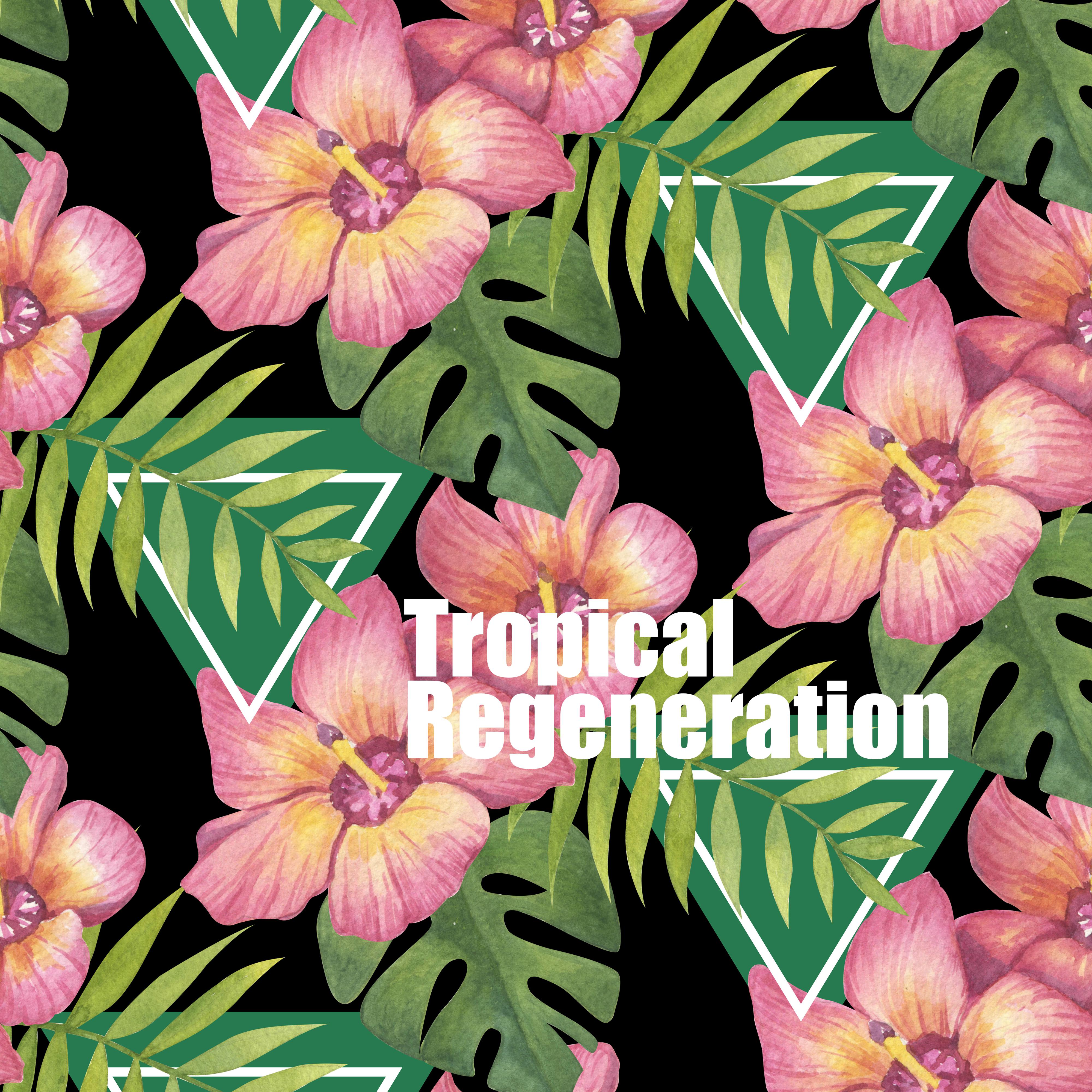 Tropical Regeneration: Ibiza Relaxation, Chill Out 2019, Beach Music, Summer Relaxing Vibes