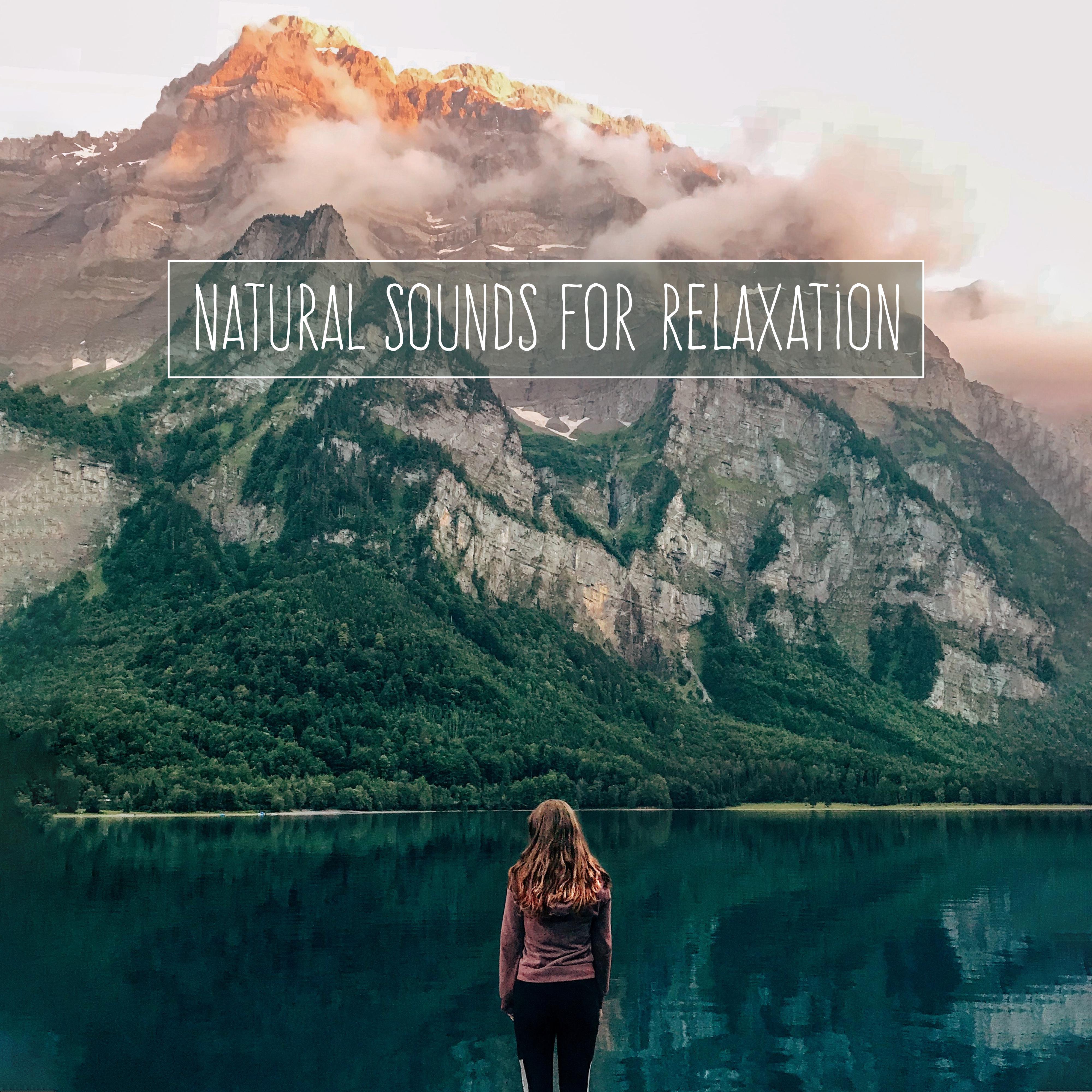 Natural Sounds for Relaxation: 2019 New Age Nature & Ambient Music Selection for Pure Relaxation, Calm Down, Stress Free, Fully Restore Your Vital Energy