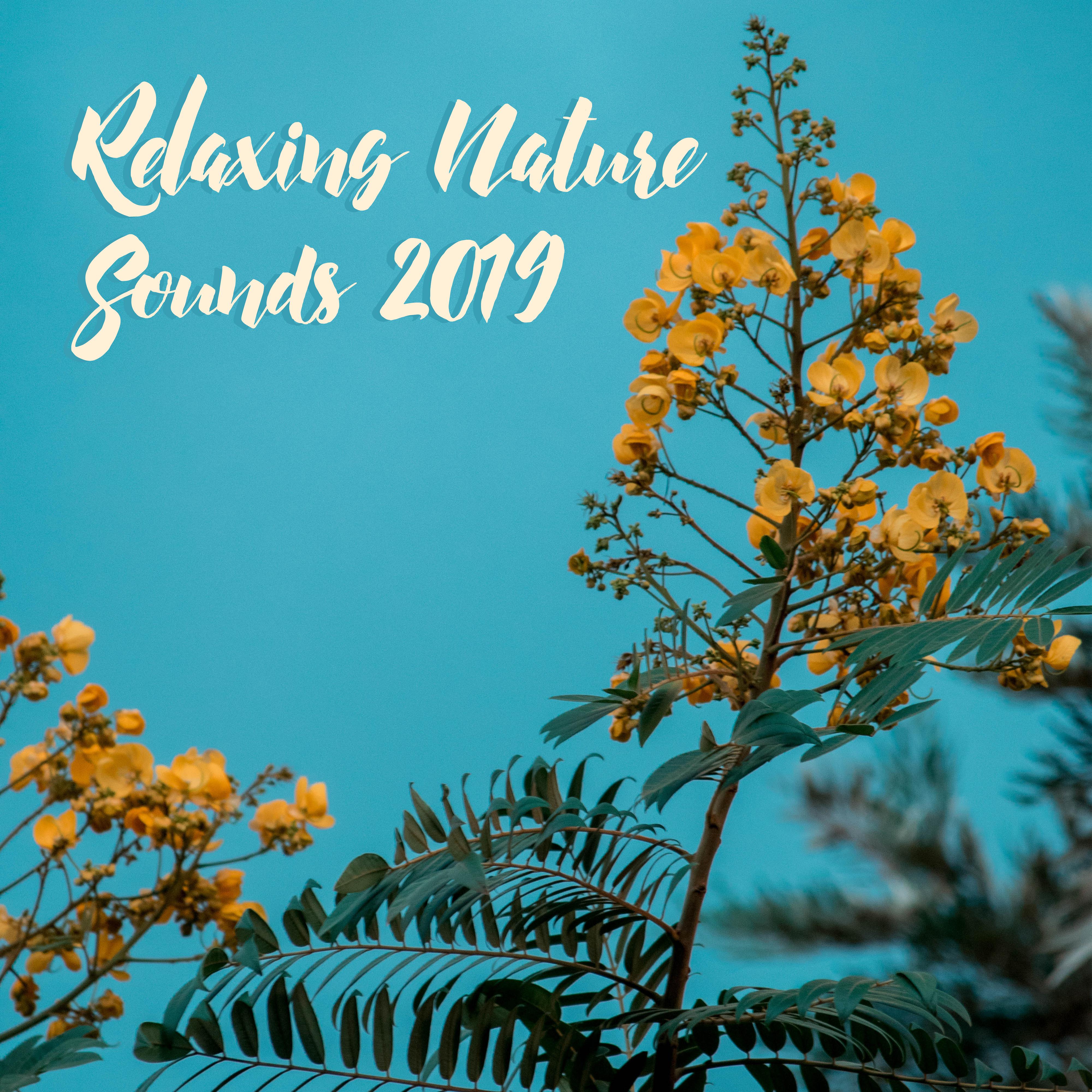 Relaxing Nature Sounds 2019: Deep Relaxation, Rest, Soothing Sounds to Calm Down, Inner Harmony, Zen