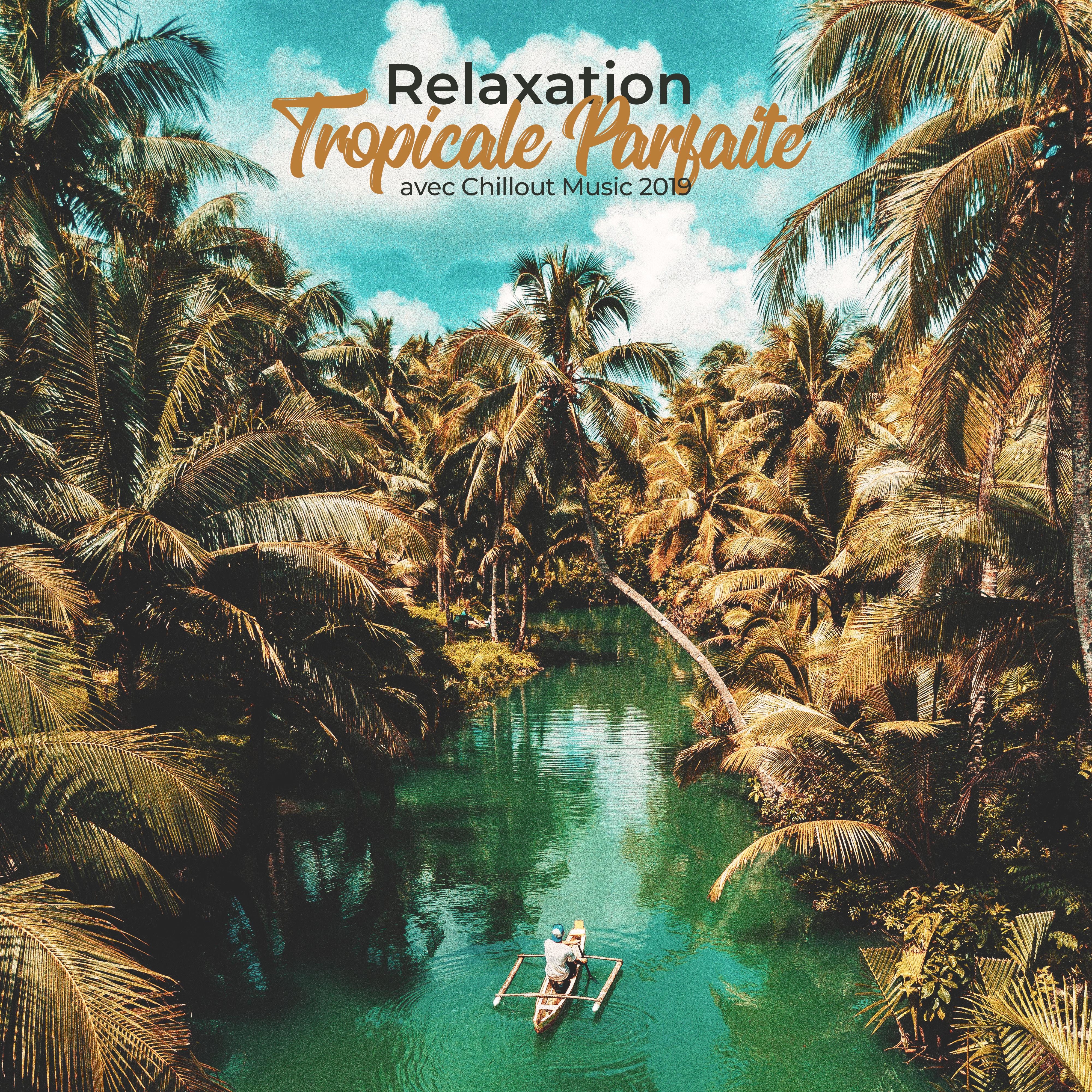 Relaxation Tropicale Parfaite avec Chillout Music 2019
