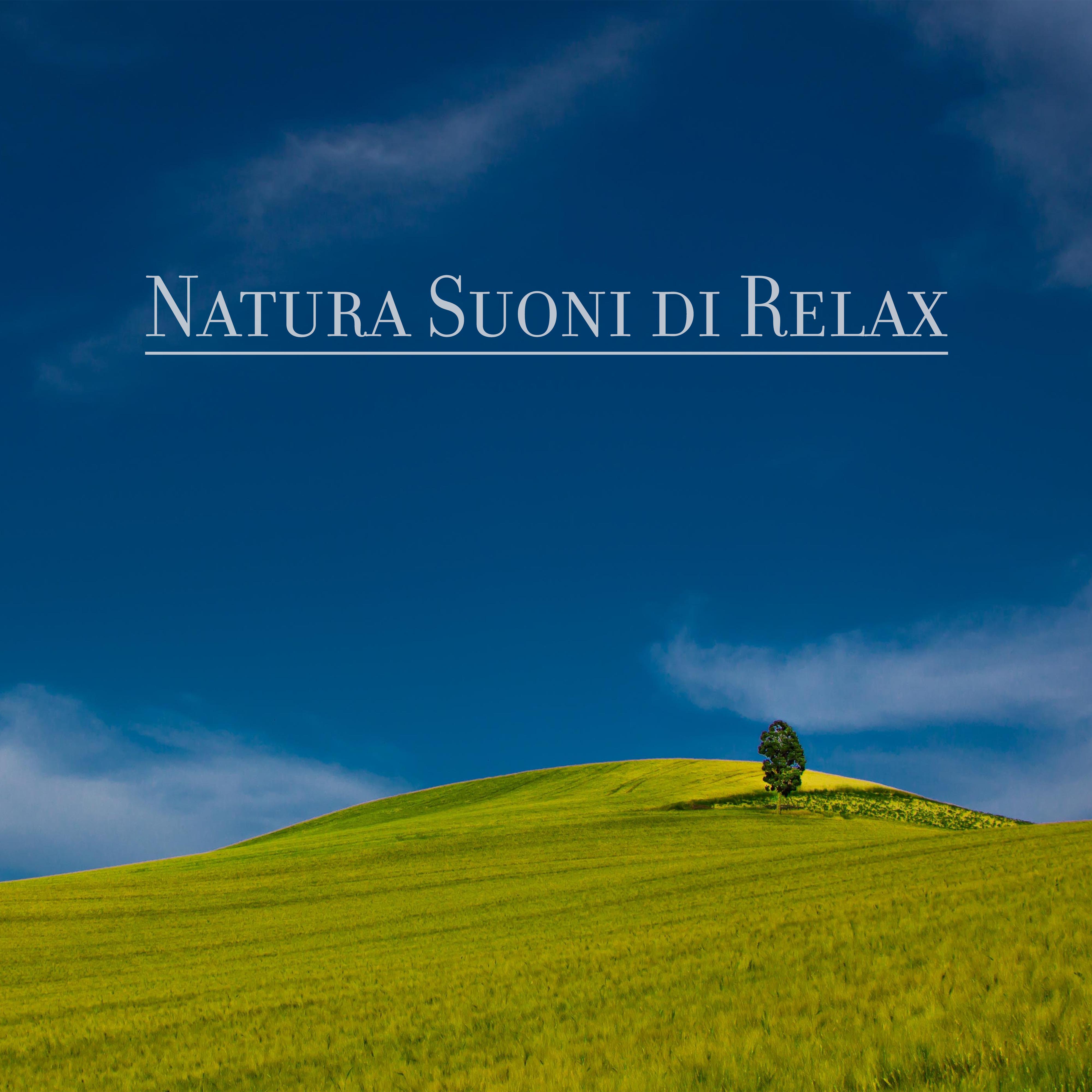 Natura Suoni di Relax – 2019 New Age Musica Compilation per Meditazione, Relax e Massaggi