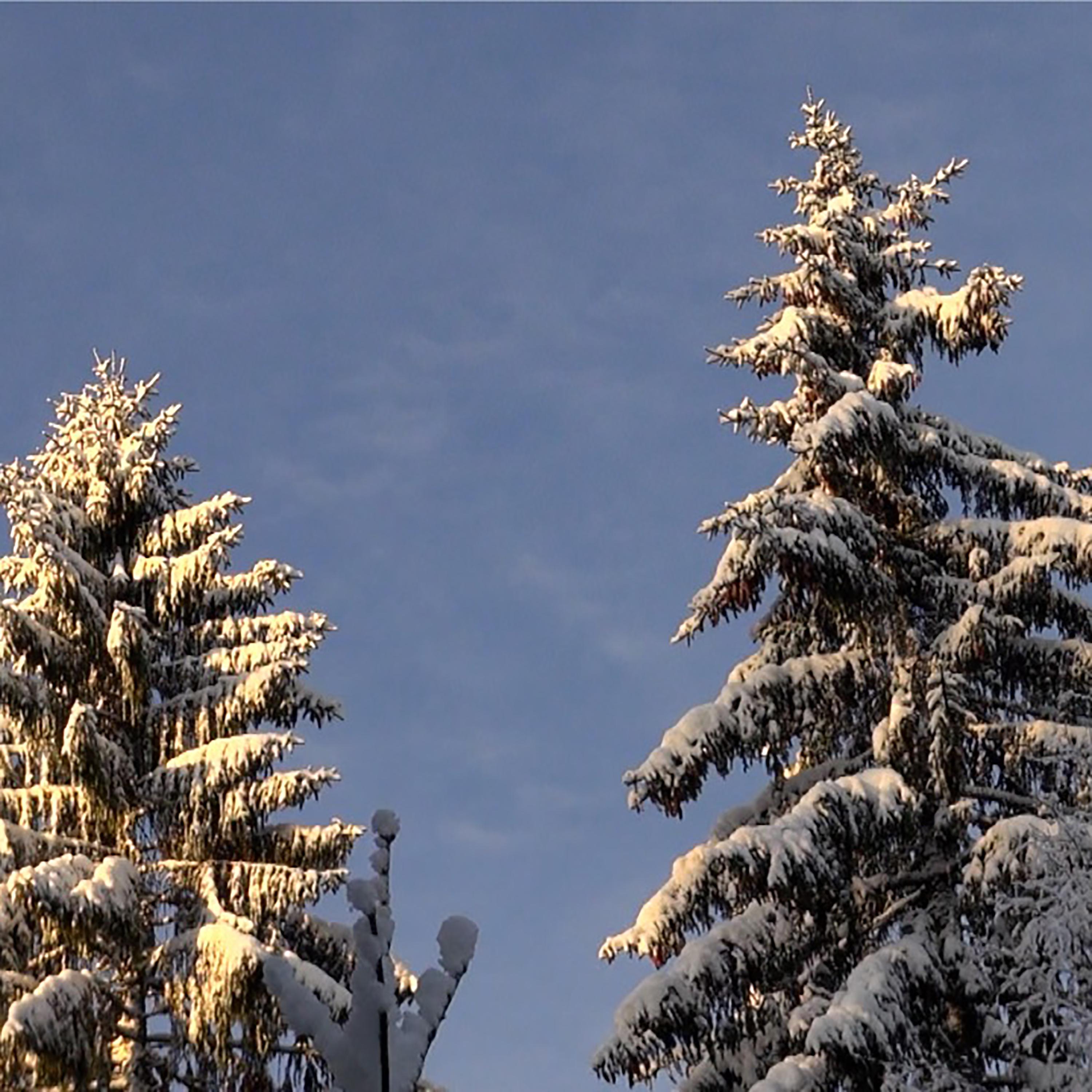 Tundra Sky