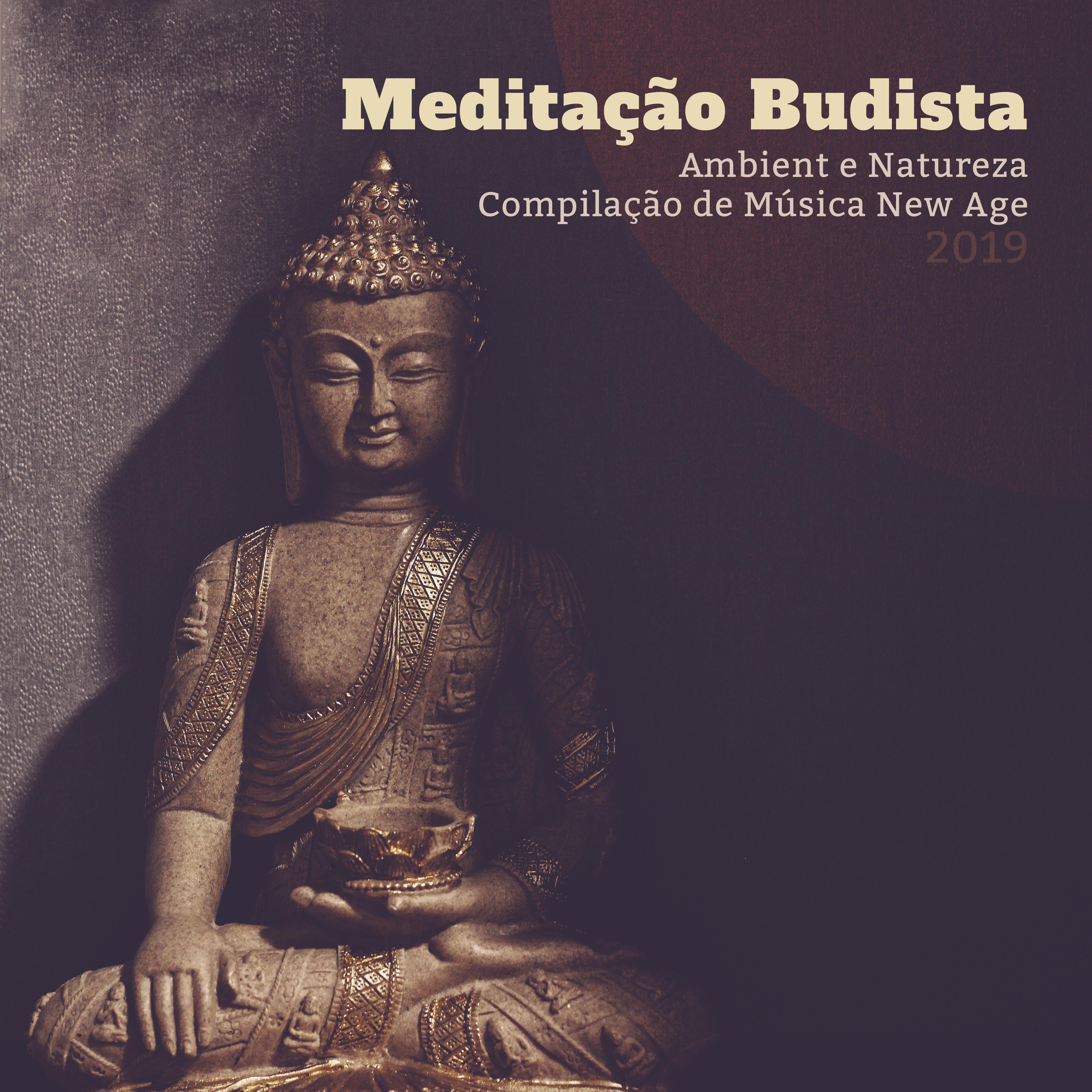 Meditação Budista Ambient e Natureza Compilação de Música New Age 2019