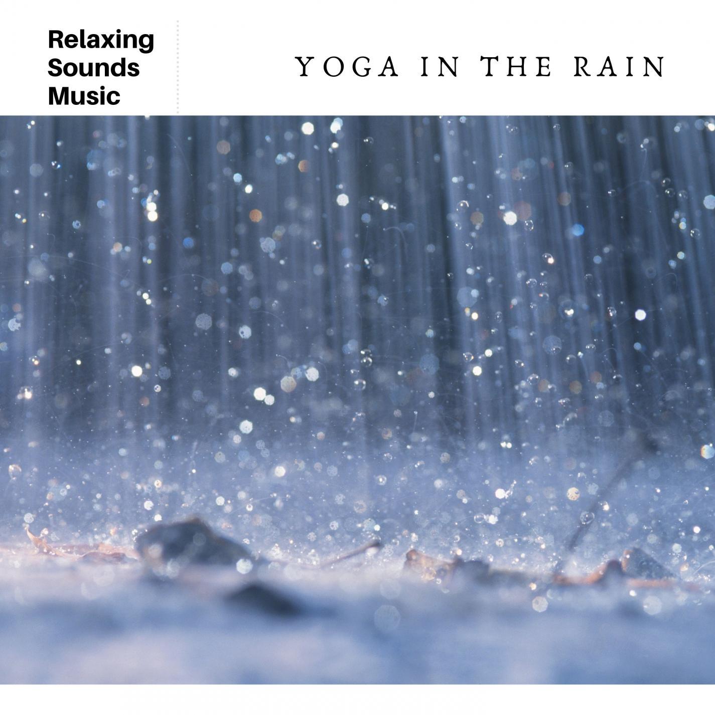 Meditate In The Rain