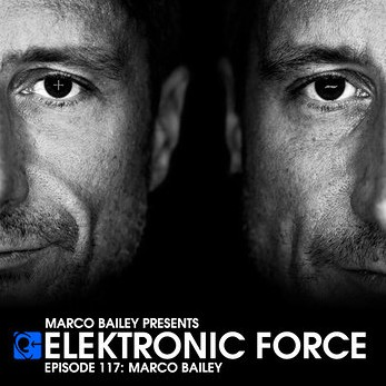 Elektronic Force 117