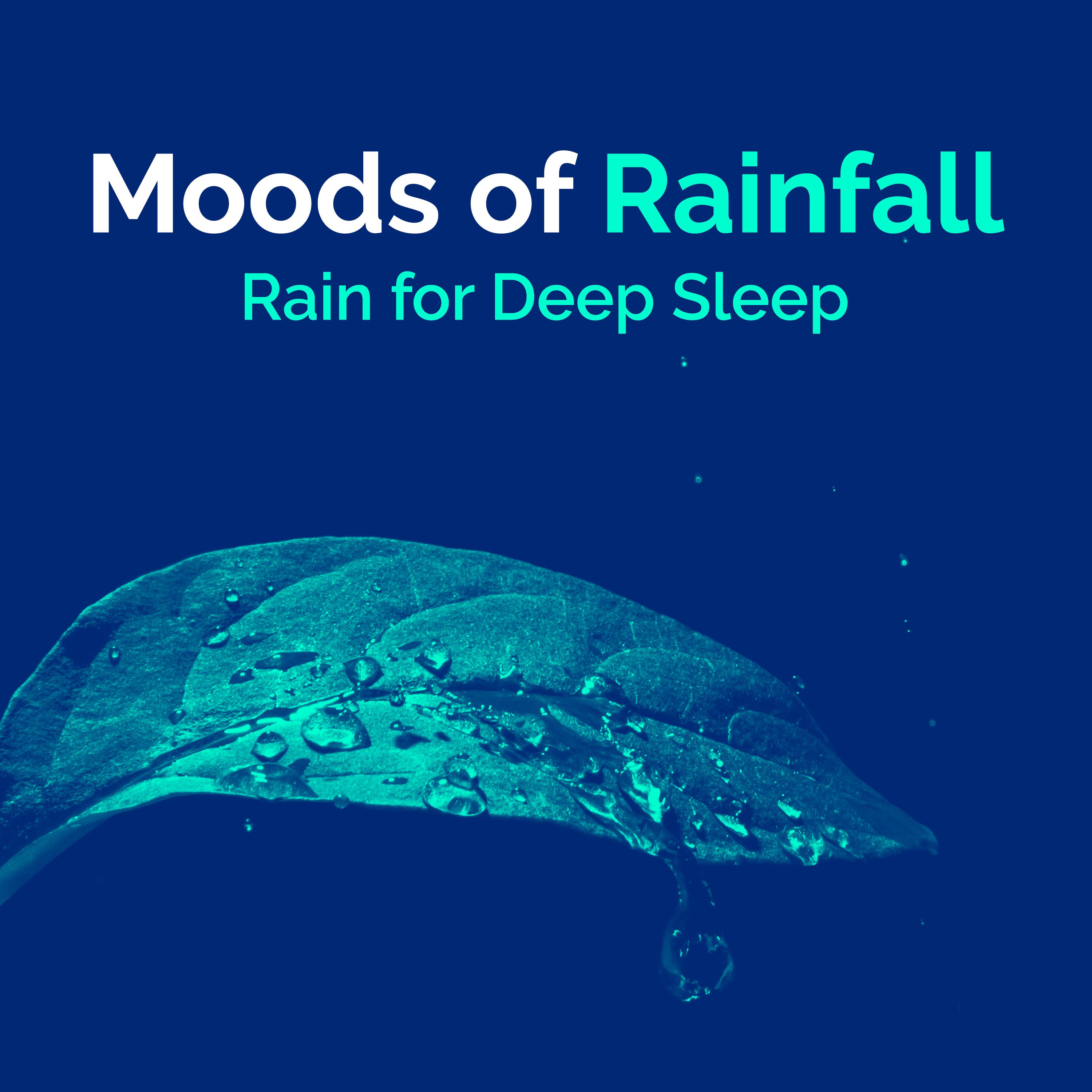 Moods of Rainfall