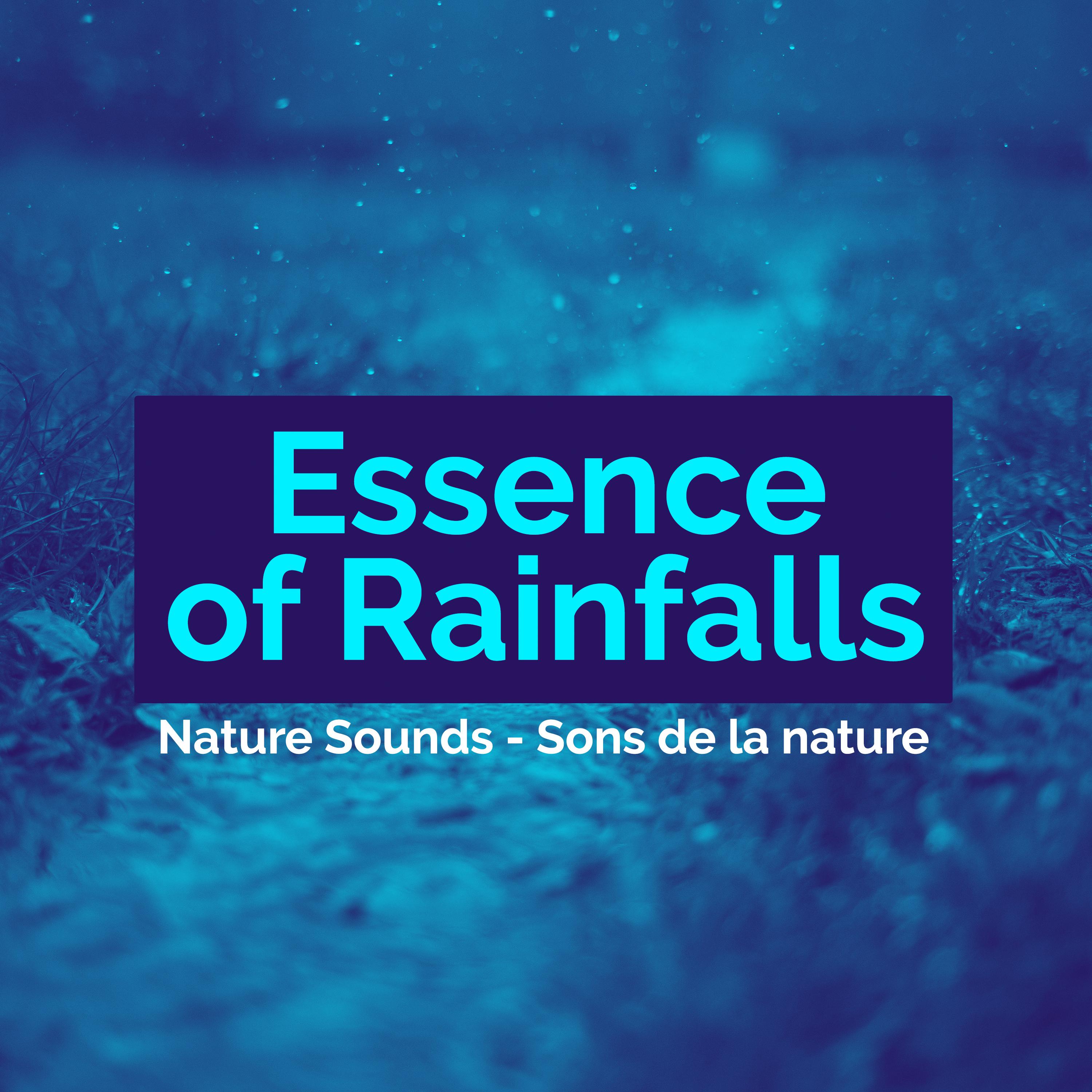 Essence of Rainfalls