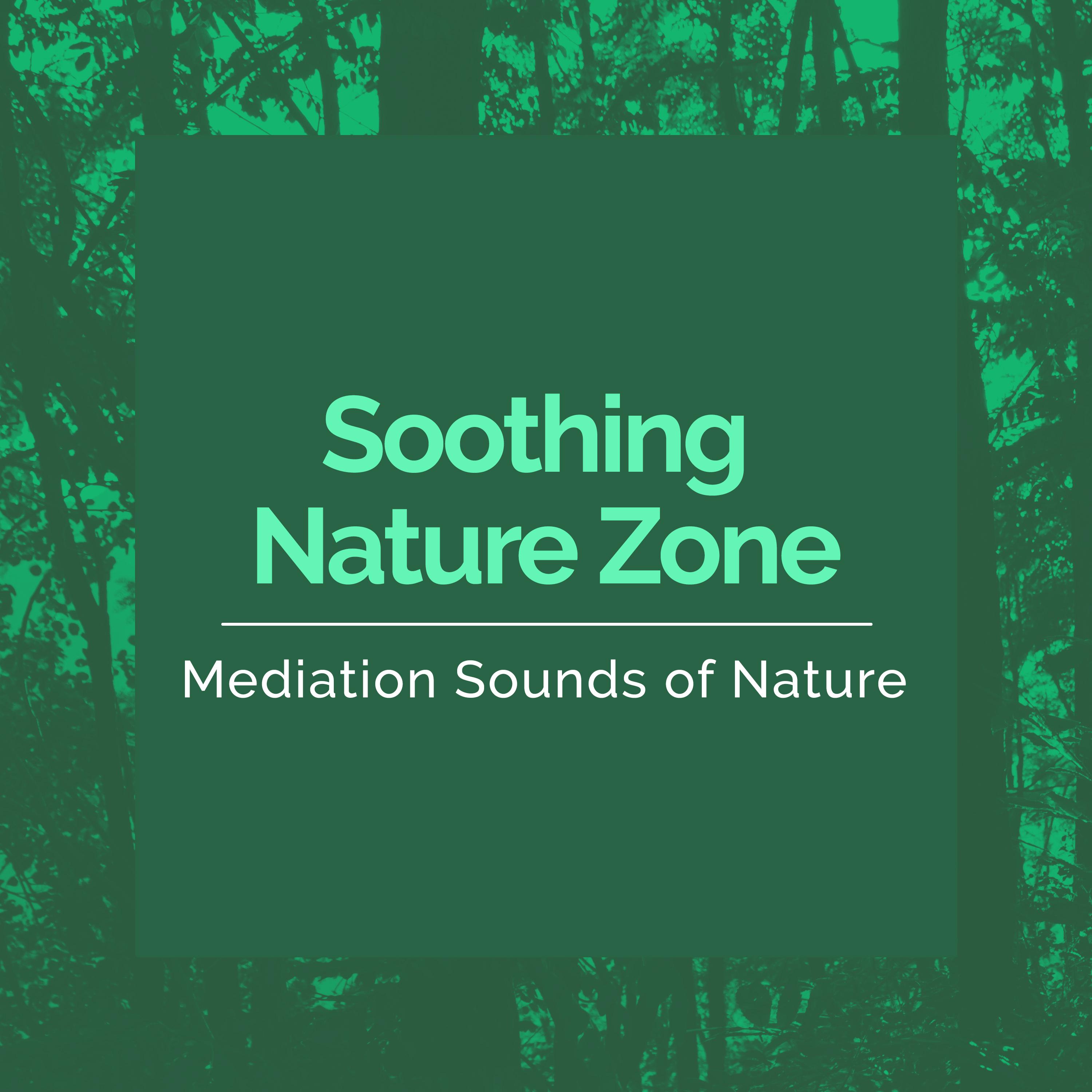 Soothing Nature Zone